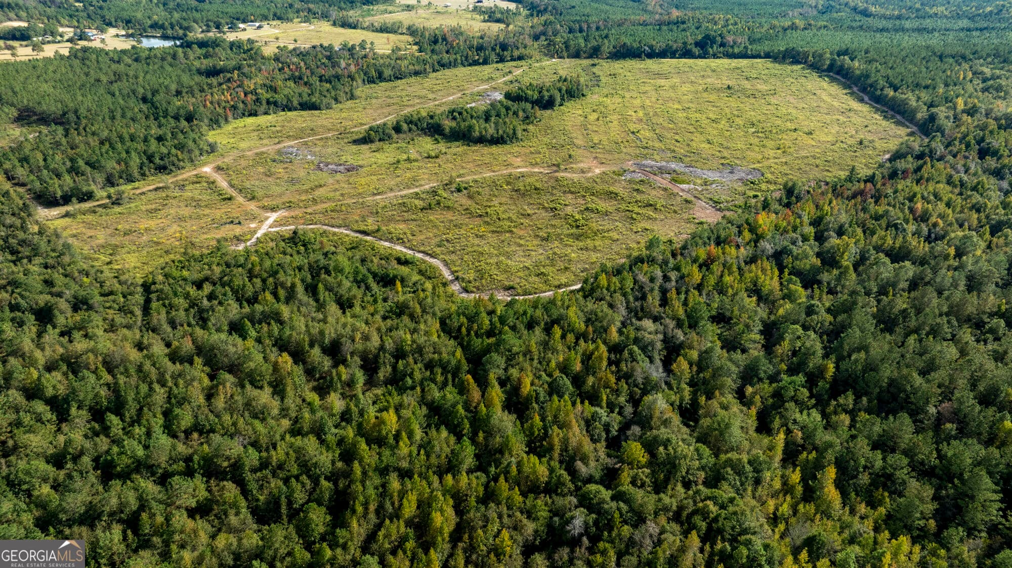 unimproved land for sale at 0 Fortner Pond Road TRACT 1, Kite, GA 31049 — photo 4