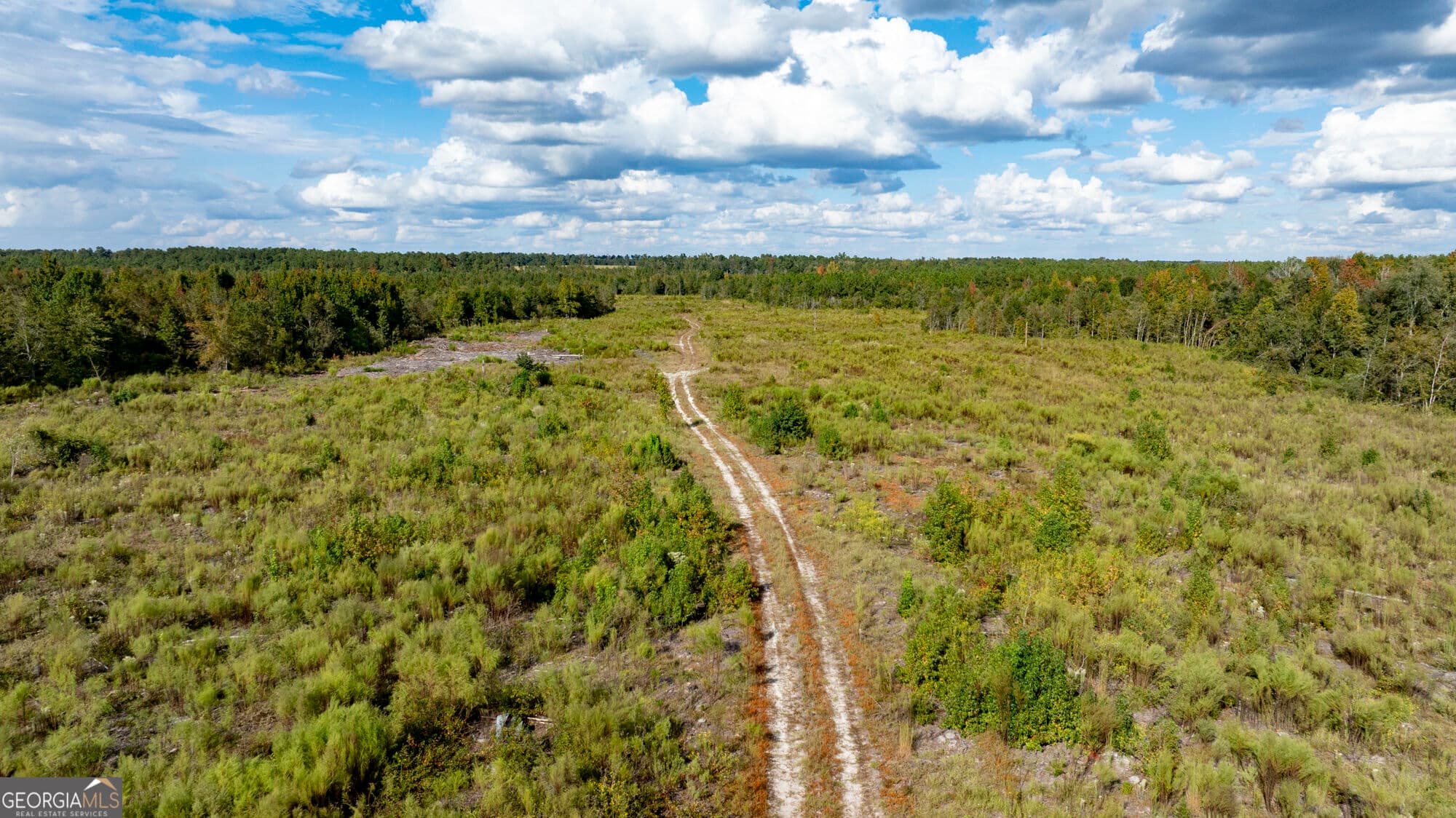 unimproved land for sale at 0 Fortner Pond Road TRACT 1, Kite, GA 31049 — photo 8