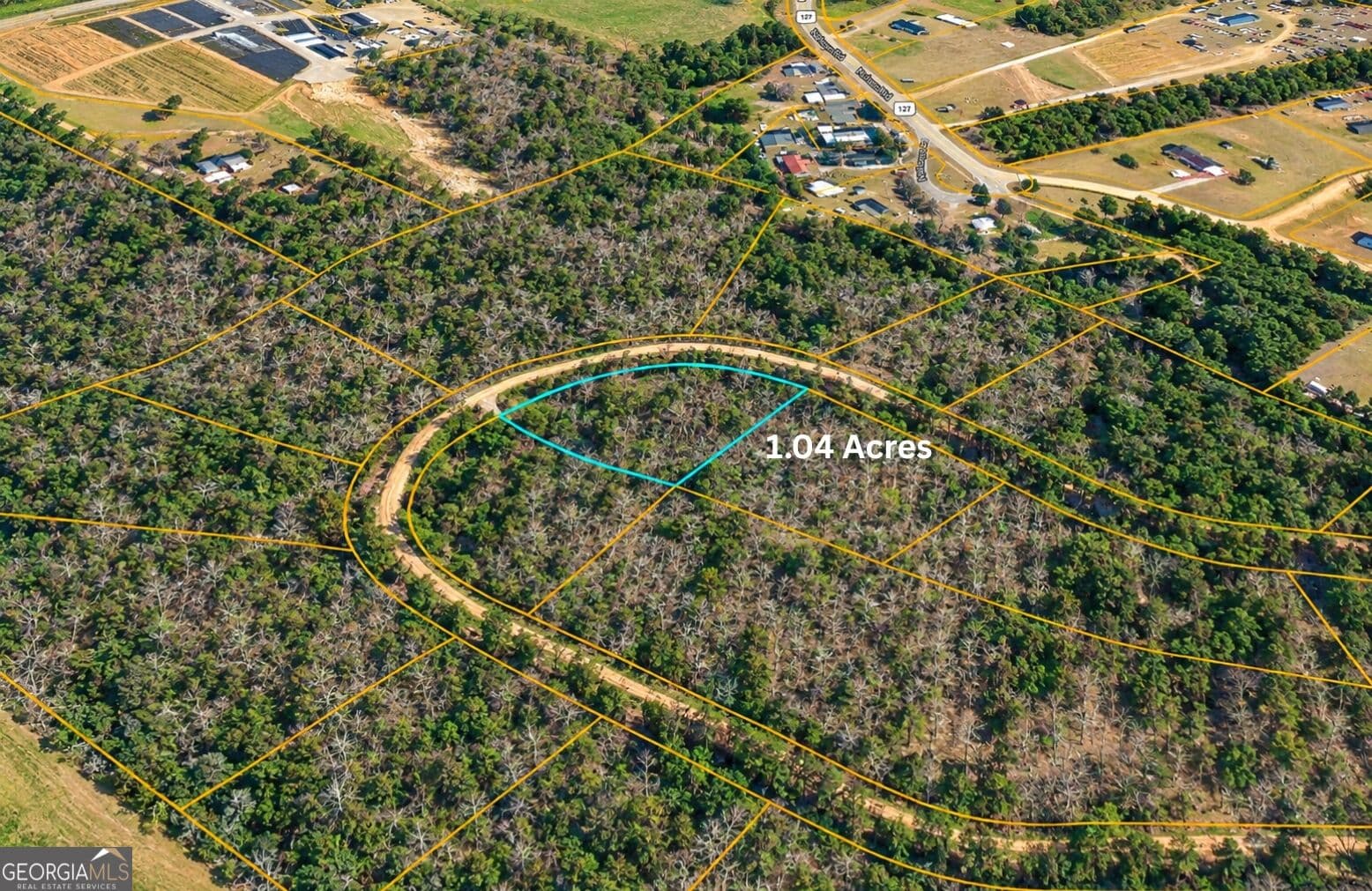 residential lot for sale at TBD1 Nelson Circle, Louiseville, GA 30434 — photo 6