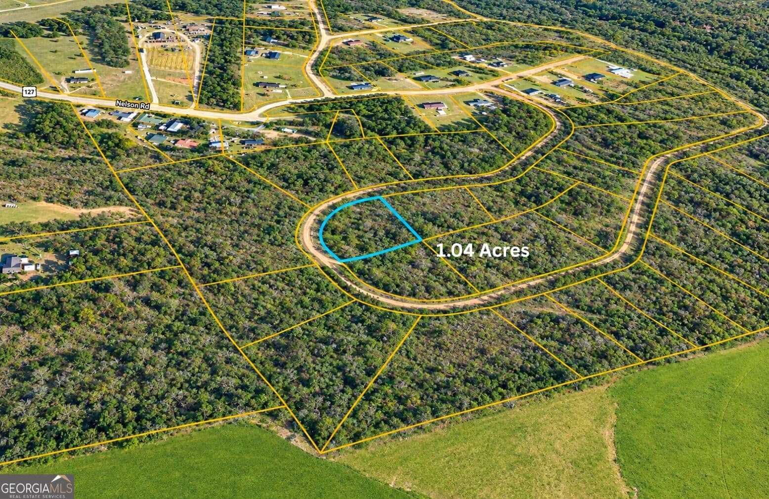 residential lot for sale at TBD1 Nelson Circle, Louiseville, GA 30434 — photo 5