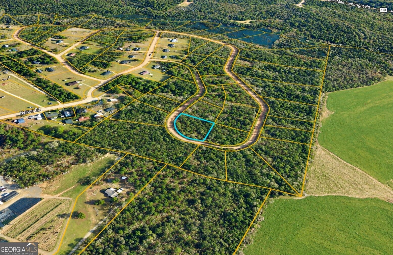residential lot for sale at TBD1 Nelson Circle, Louiseville, GA 30434 — photo 4