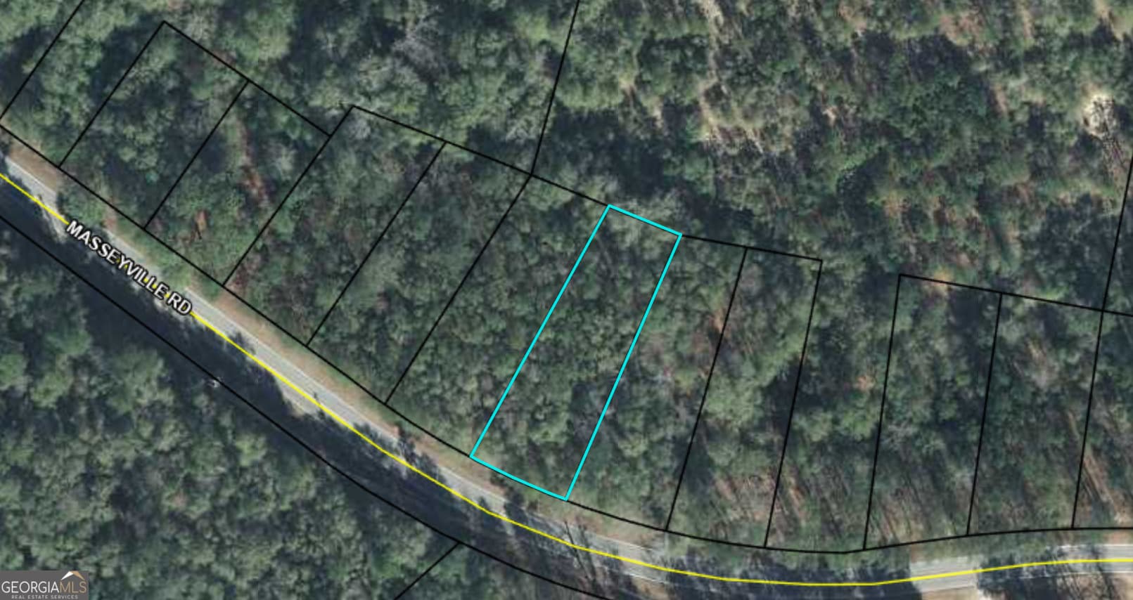 unimproved land for sale at 3098 Masseyville Road, Macon, GA 31217 — photo 1 of 1