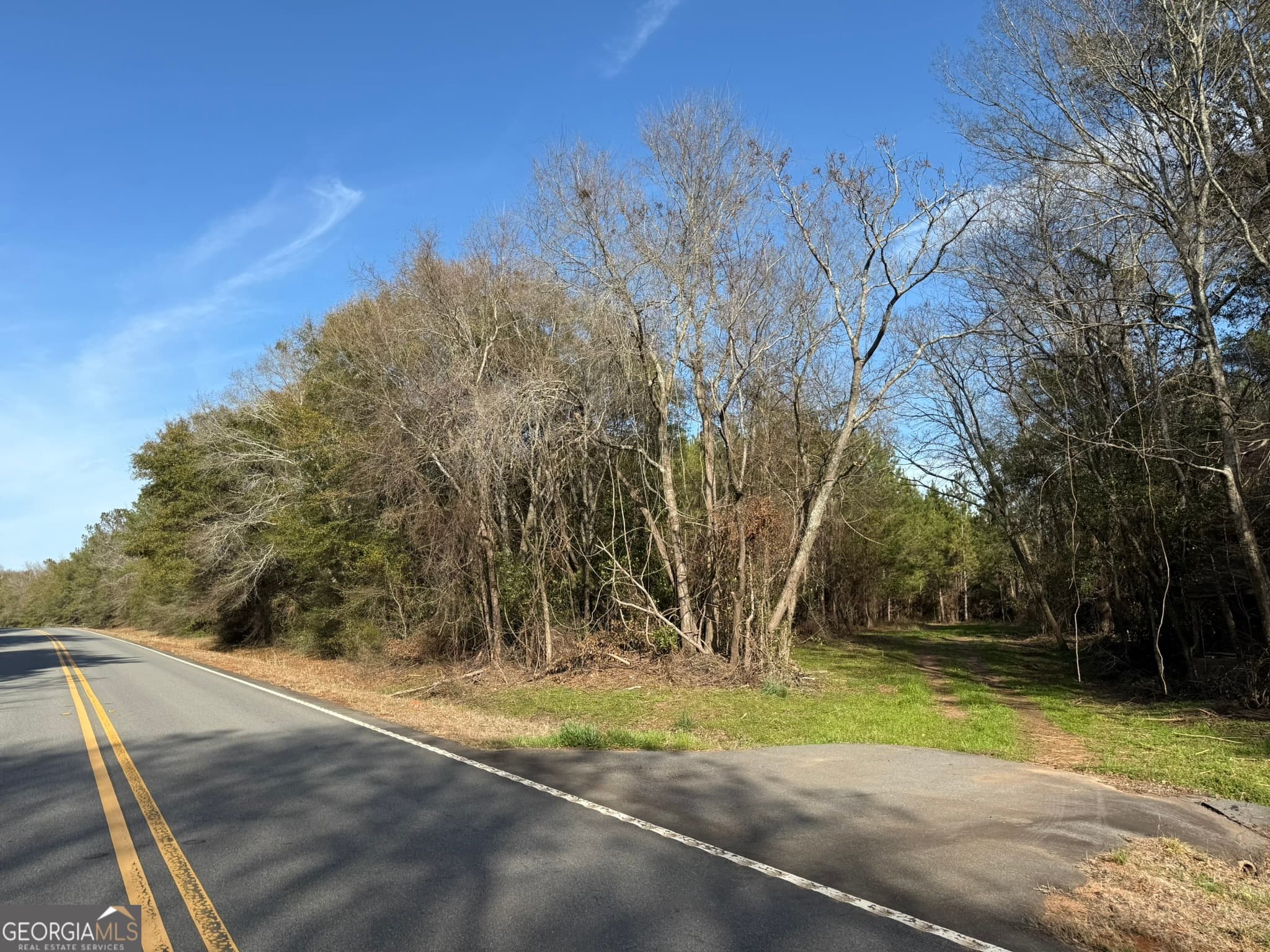 agriculture for sale at 014 Hwy 45, Plains, GA 31780 — photo 3