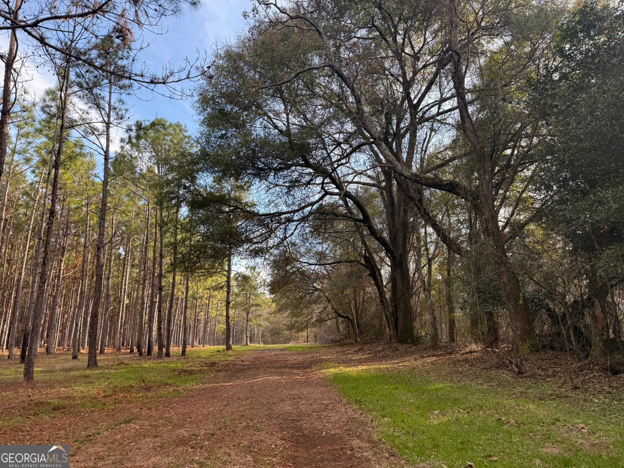 agriculture for sale at 014 Hwy 45, Plains, GA 31780