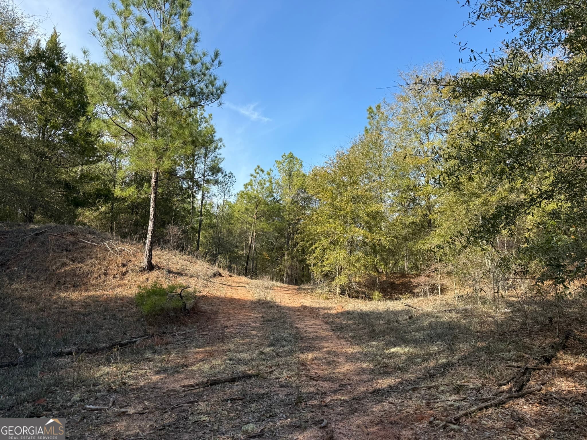 agriculture for sale at 014 Hwy 45, Plains, GA 31780 — photo 5