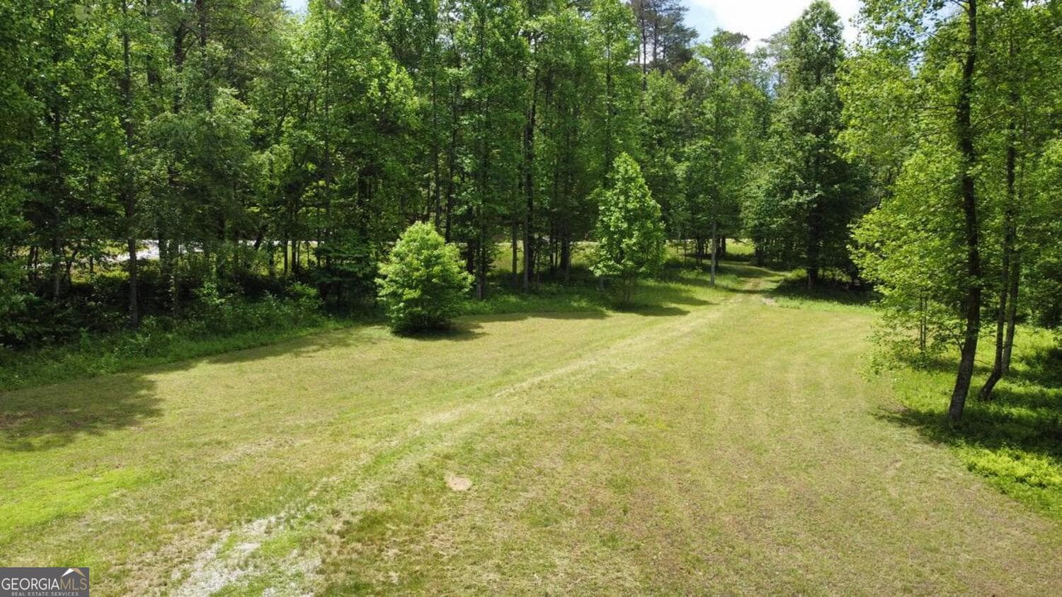 residential lot for sale at TRACT 1 Timber Ridge Road, Blairsville, GA 30512 — photo 4