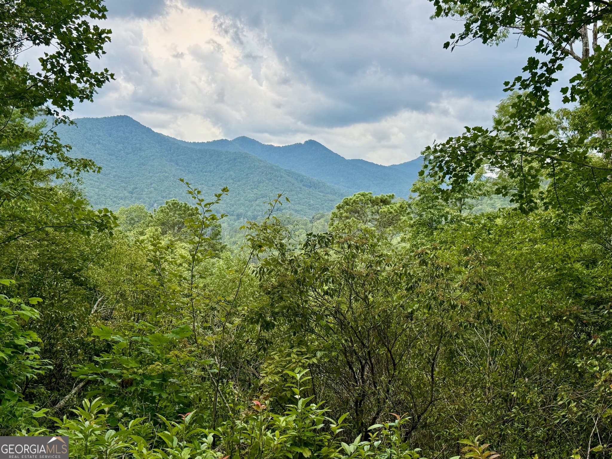 agriculture for sale at LOT 6 Raven Fork Trail, Dillard, GA 30537 — photo 2