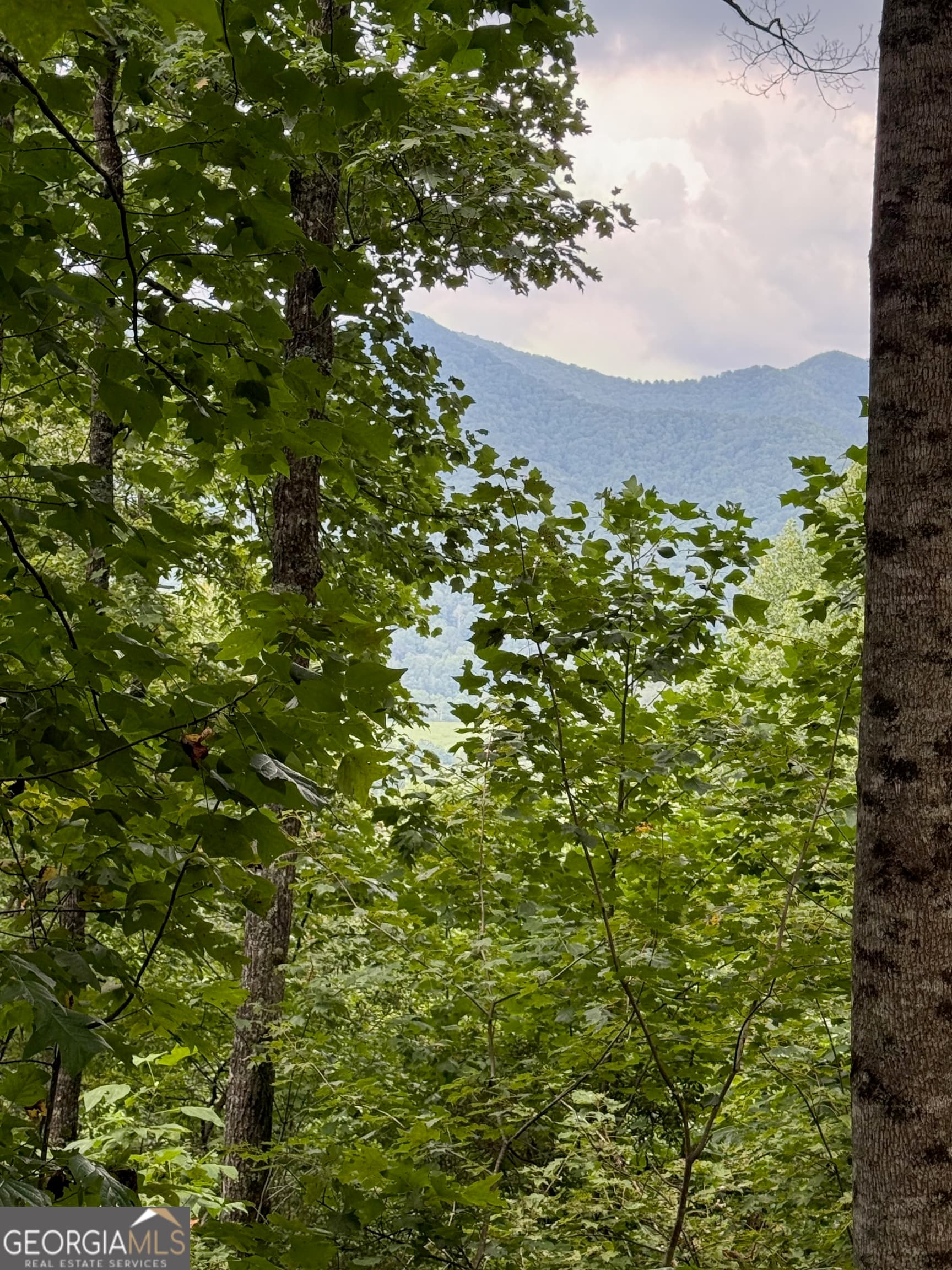 agriculture for sale at LOT 6 Raven Fork Trail, Dillard, GA 30537 — photo 7
