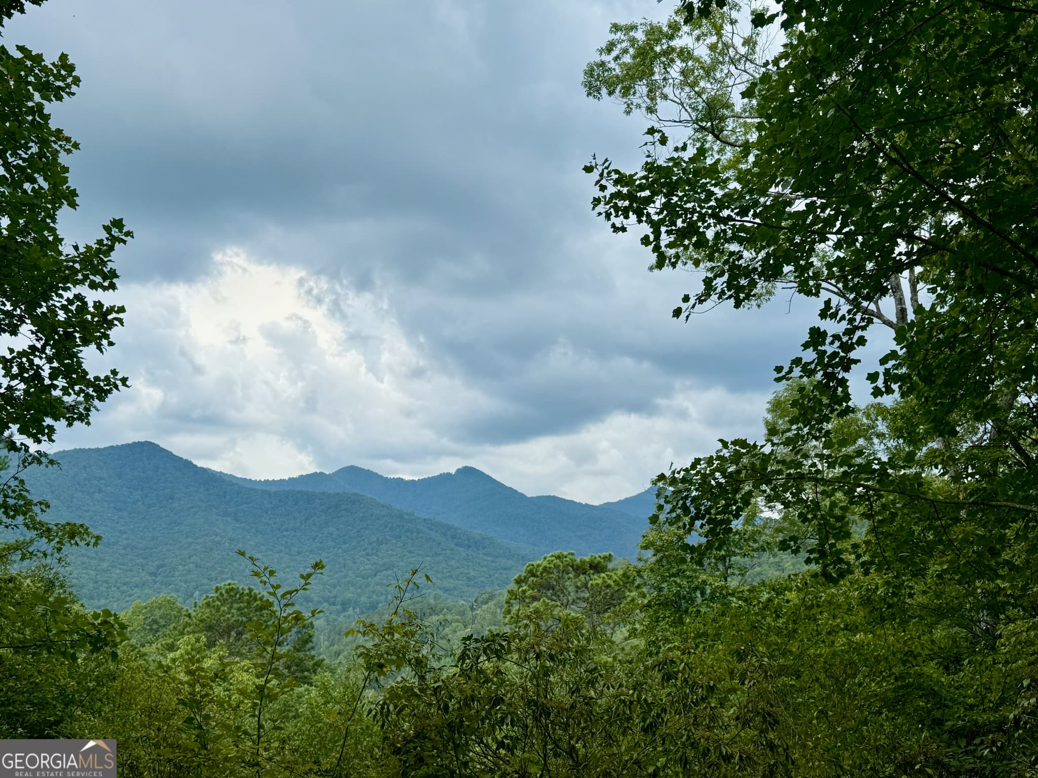 agriculture for sale at LOT 6 Raven Fork Trail, Dillard, GA 30537