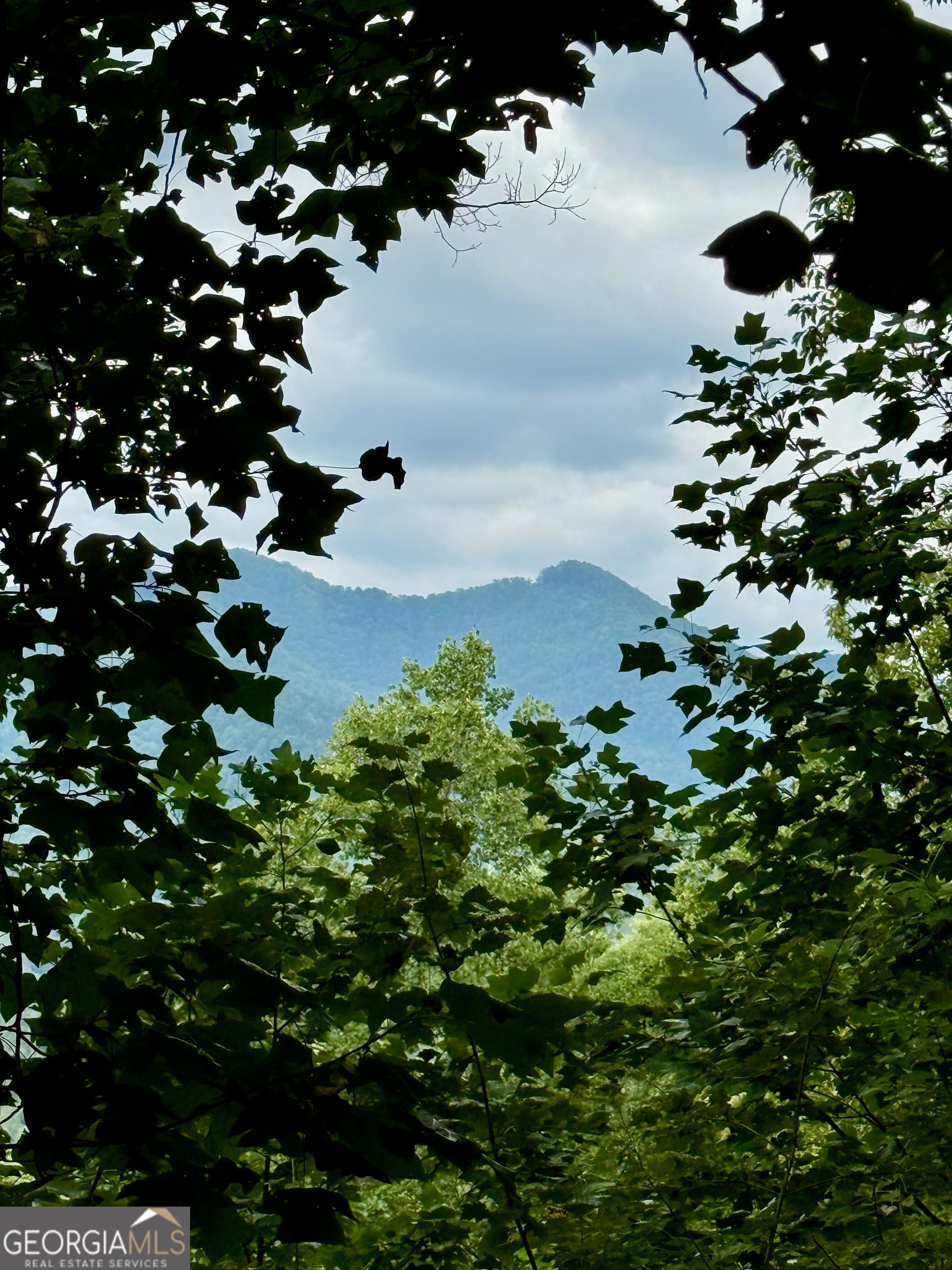 agriculture for sale at LOT 6 Raven Fork Trail, Dillard, GA 30537 — photo 4