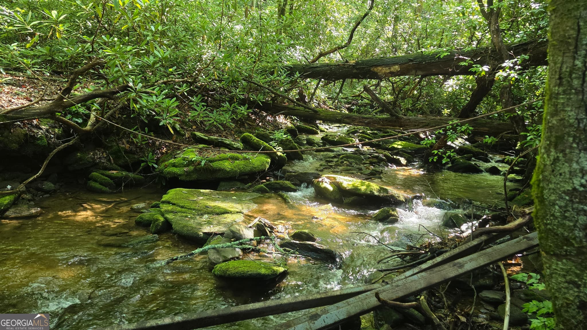 residential lot for sale at 1536 Creek Road, Hiawassee, GA 30546 — photo 2