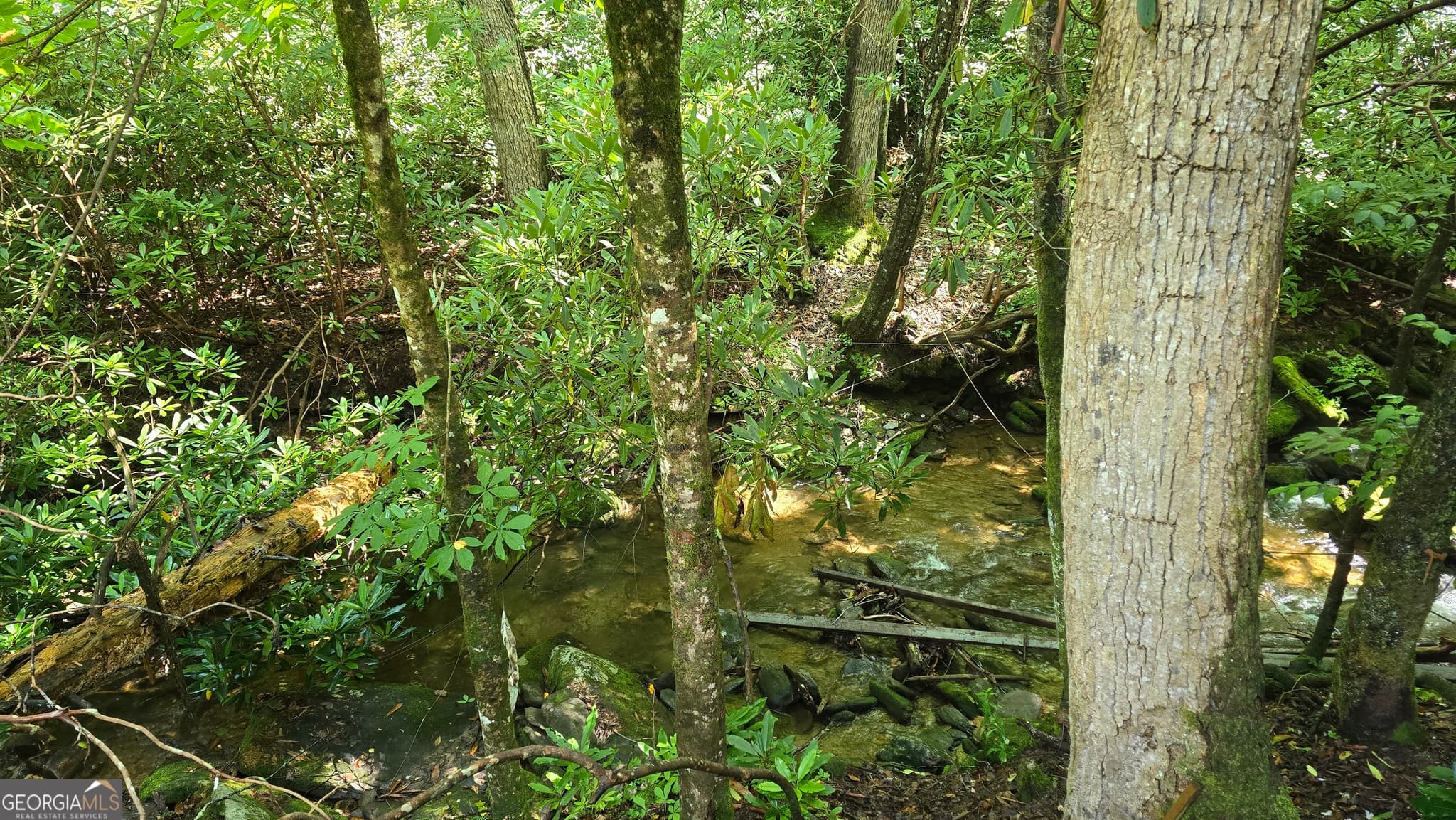 residential lot for sale at 1536 Creek Road, Hiawassee, GA 30546 — photo 3