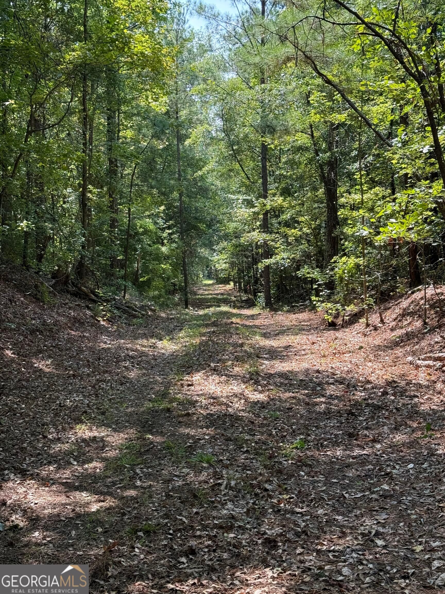 unimproved land for sale at 0 Oak Valley Drive, Macon, GA 31217 — photo 2