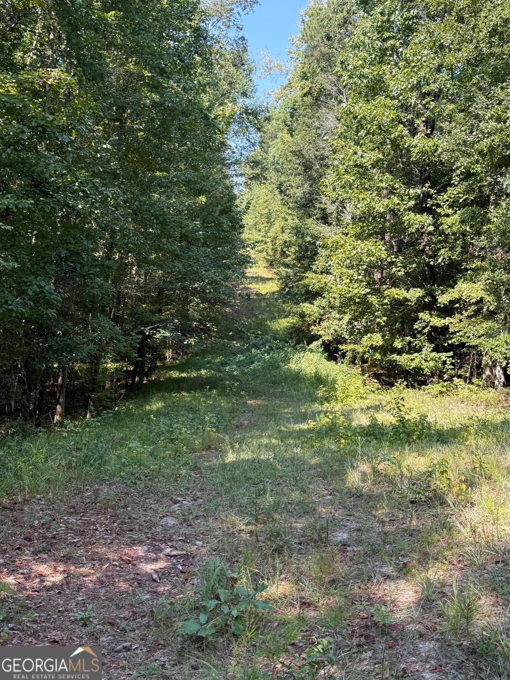 unimproved land for sale at 0 Oak Valley Drive, Macon, GA 31217 — photo 6