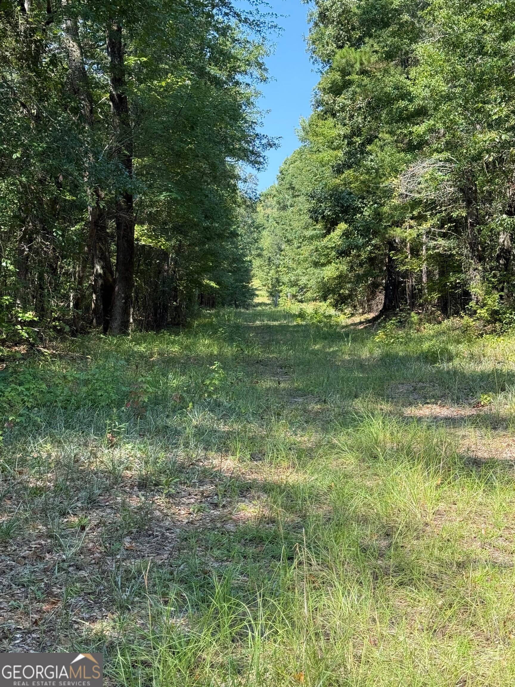unimproved land for sale at 0 Oak Valley Drive, Macon, GA 31217 — photo 7