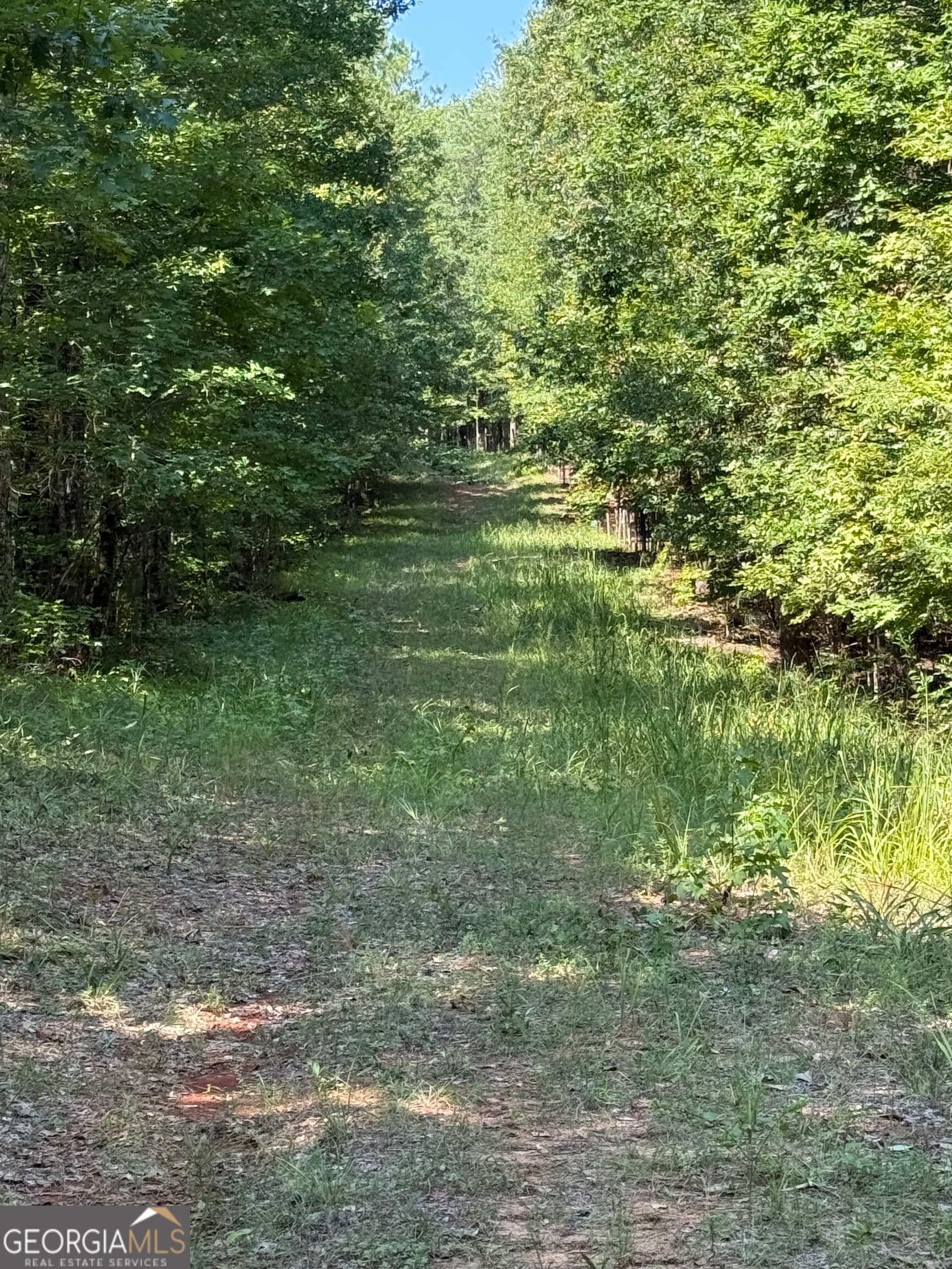 unimproved land for sale at 0 Oak Valley Drive, Macon, GA 31217 — photo 3