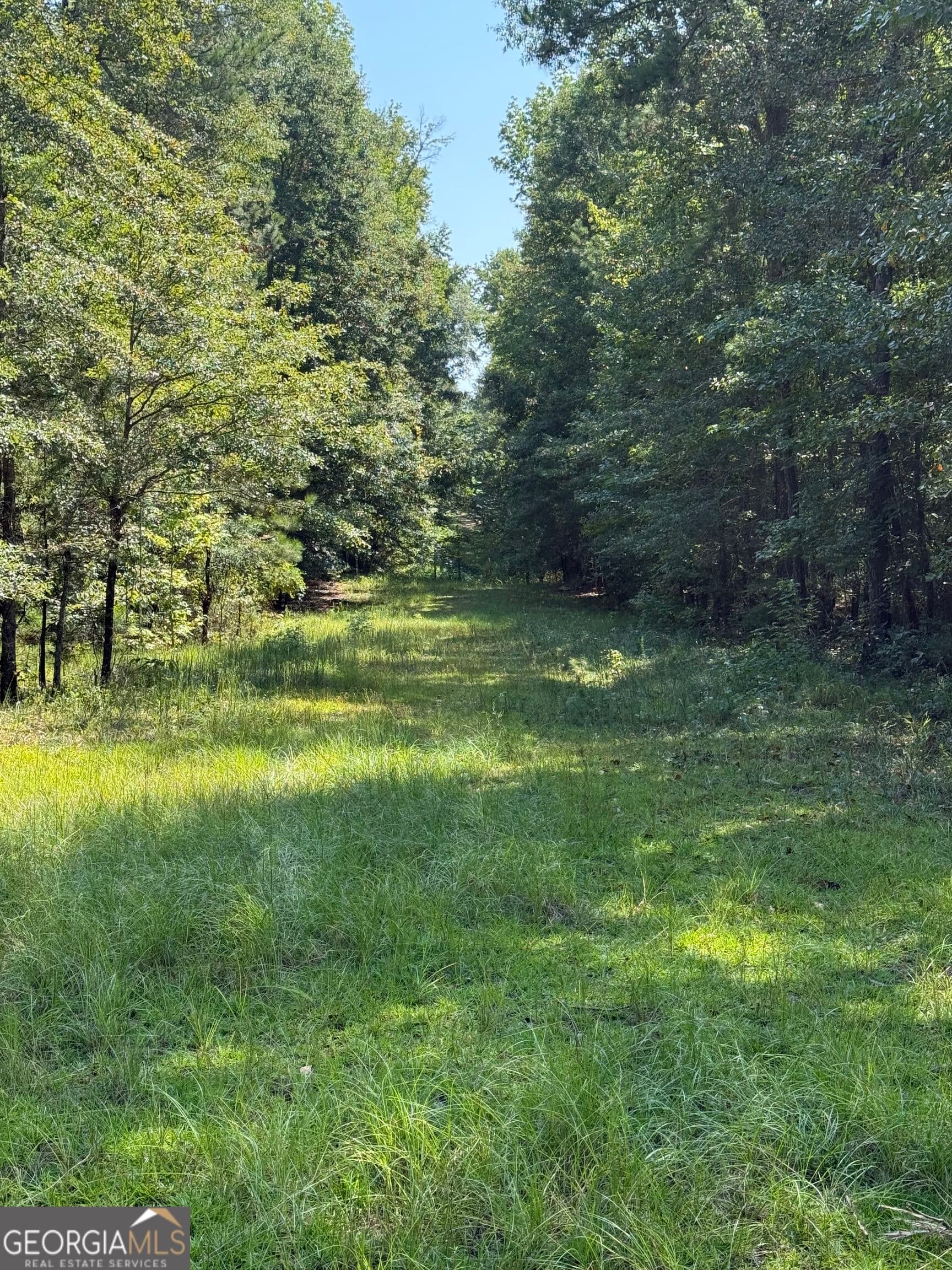 unimproved land for sale at 0 Oak Valley Drive, Macon, GA 31217 — photo 5