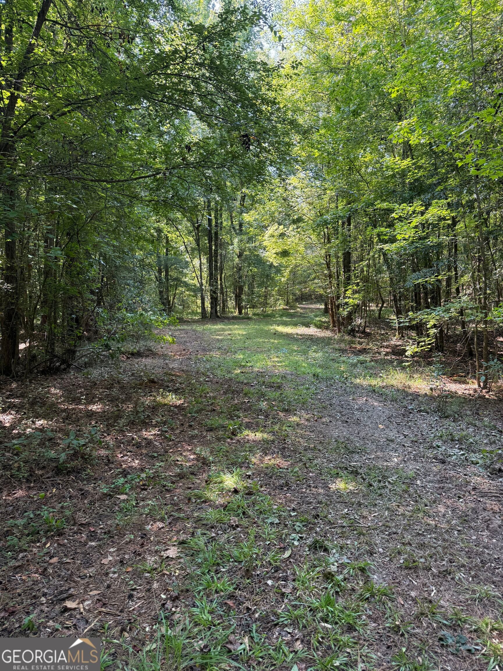 unimproved land for sale at 0 Oak Valley Drive, Macon, GA 31217 — photo 9