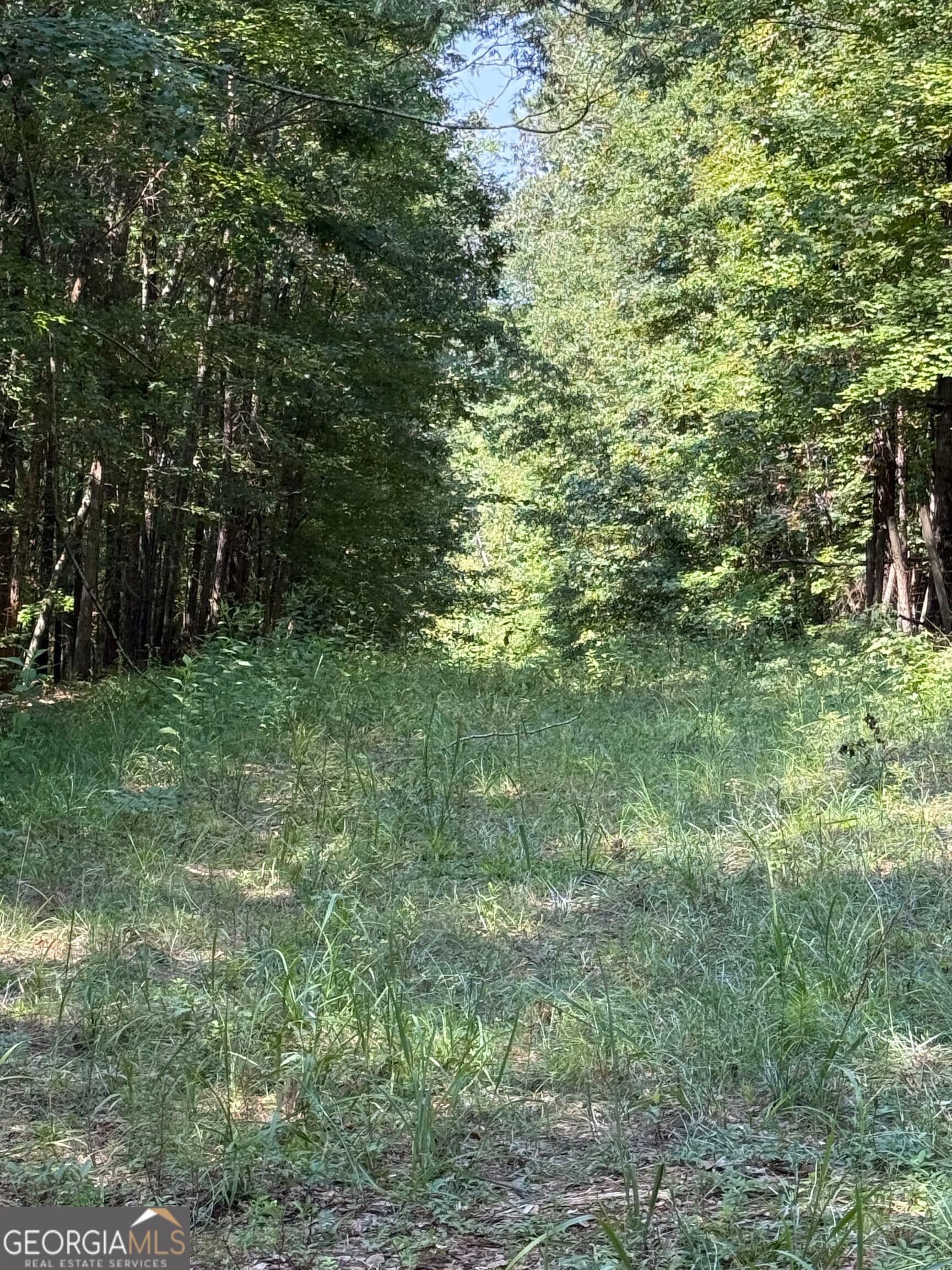 unimproved land for sale at 0 Oak Valley Drive, Macon, GA 31217 — photo 4
