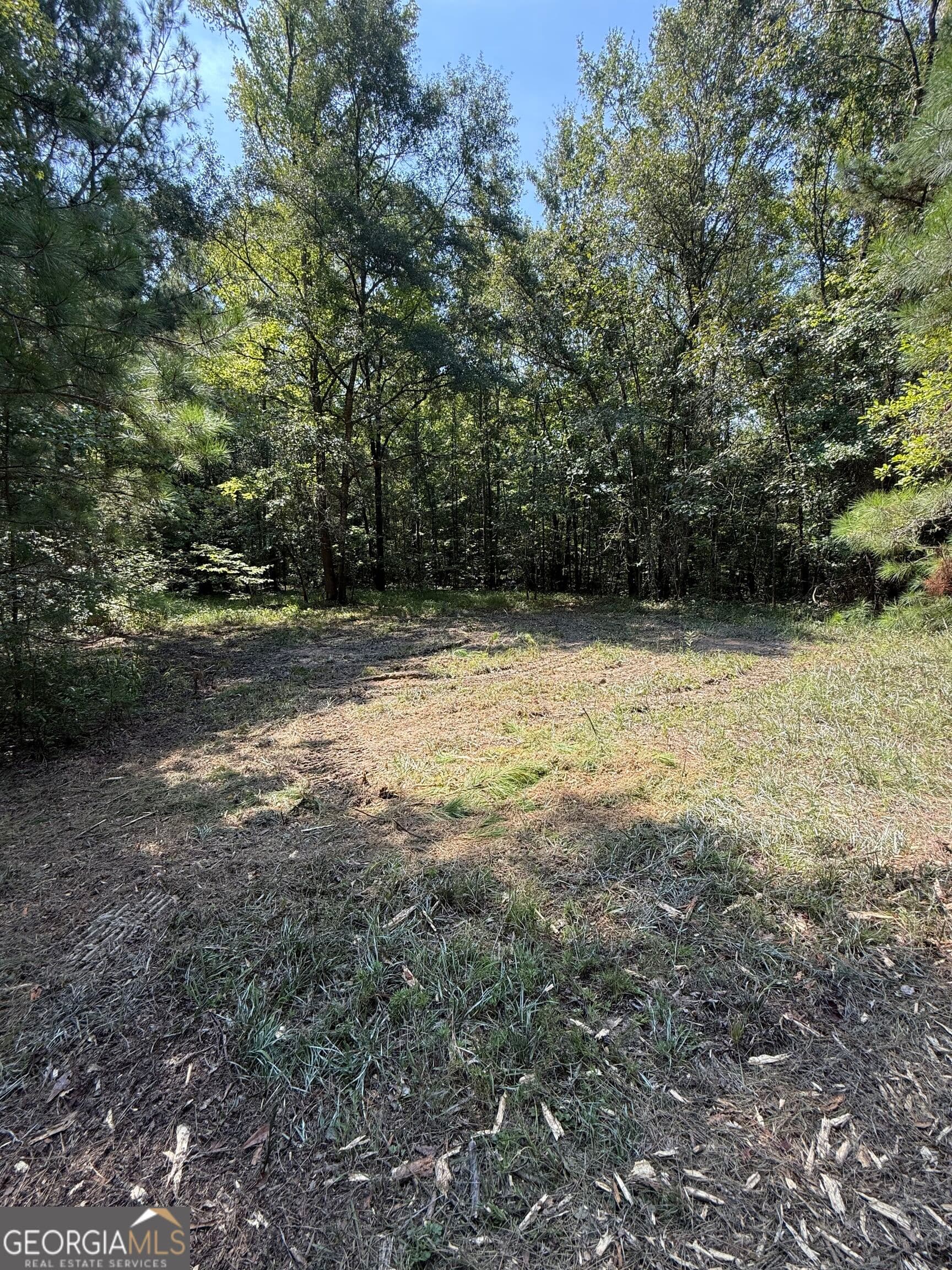 unimproved land for sale at 0 Oak Valley Drive, Macon, GA 31217 — photo 8