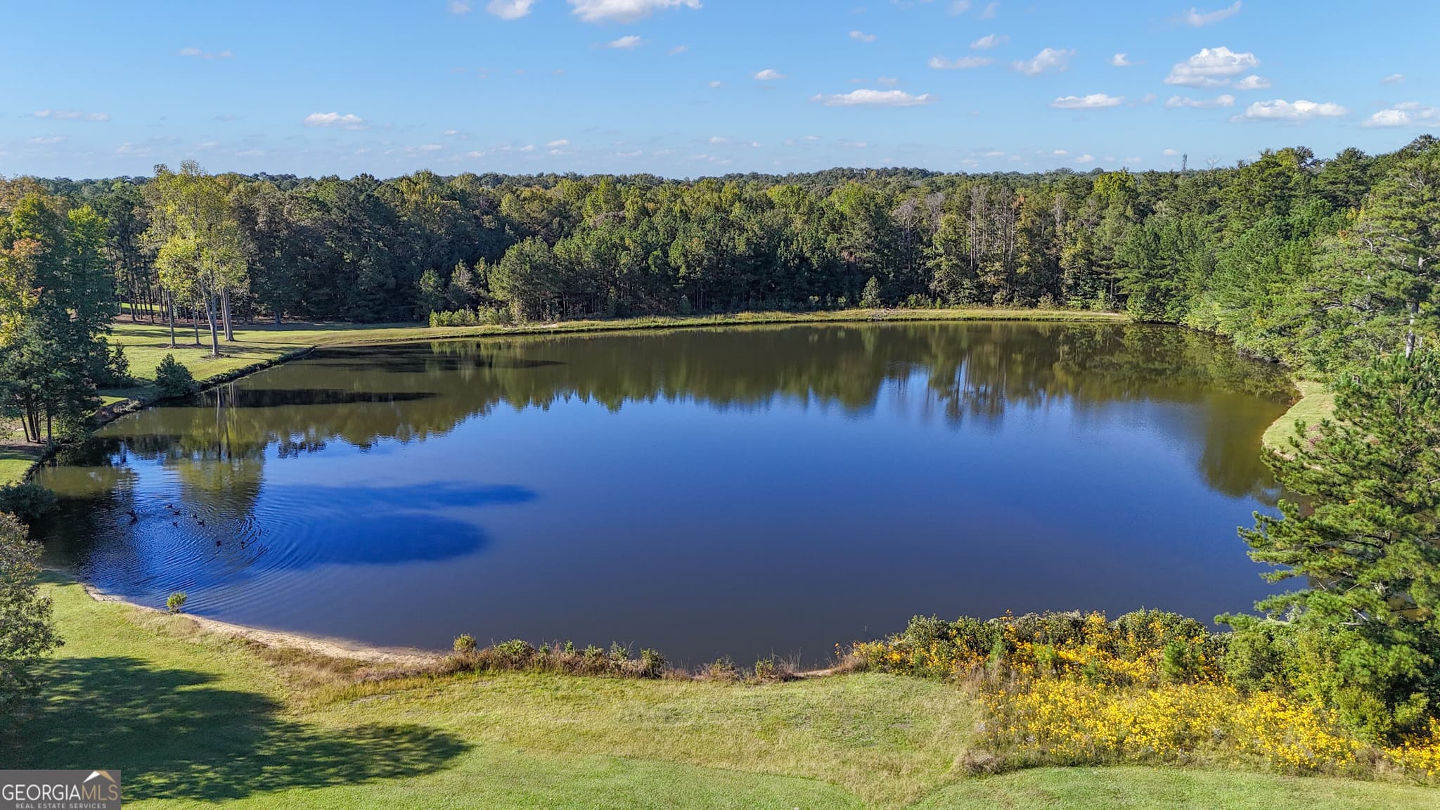 3 bedroom, 3.5 bathroom, 3,979 sq ft single family residence for sale at 323 Beaumont Farms Drive, Sharpsburg, GA 30277 — photo 5