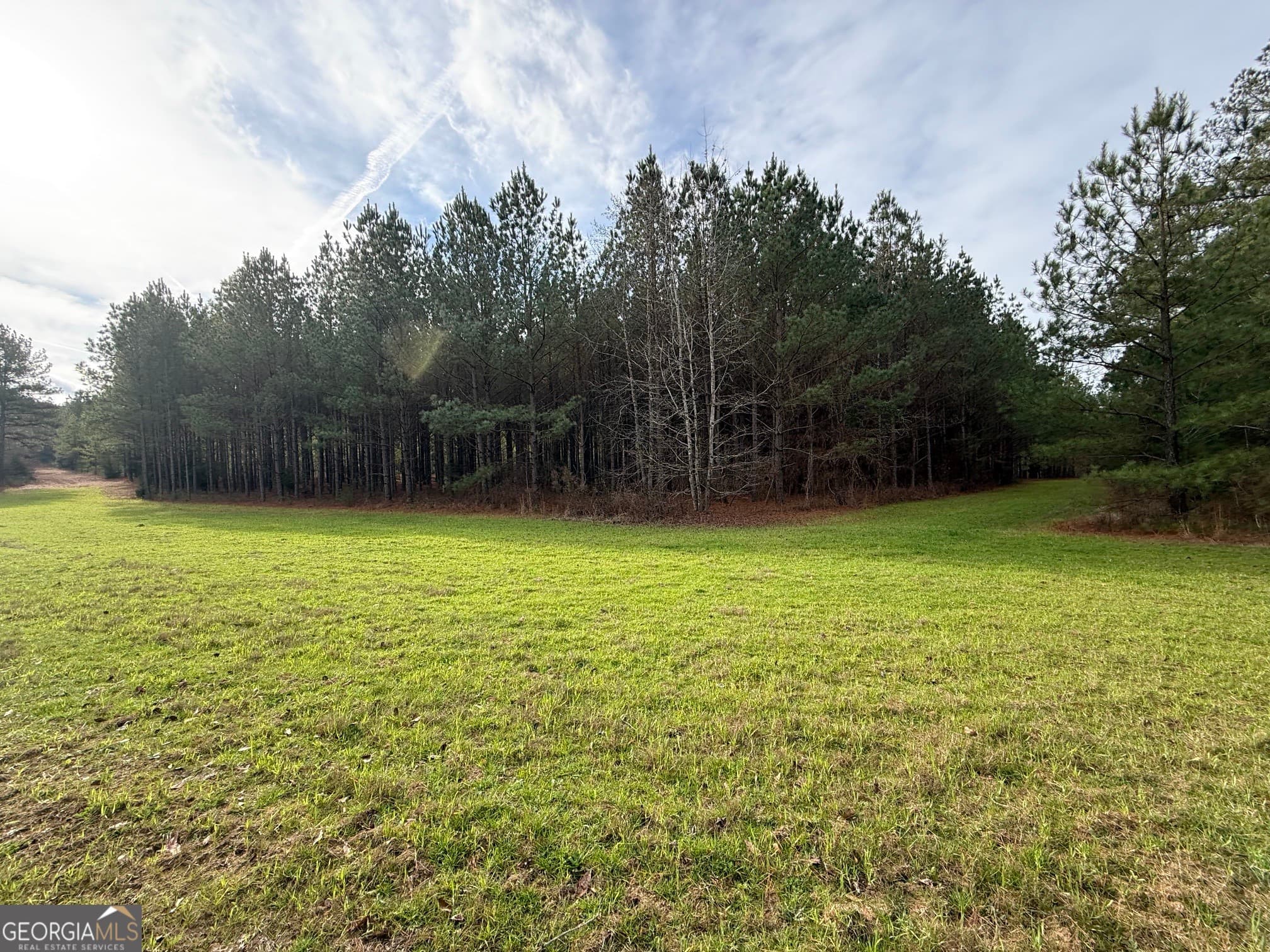 agriculture for sale at 0 Center Hill School Road, Crawfordville, GA 30631 — photo 2