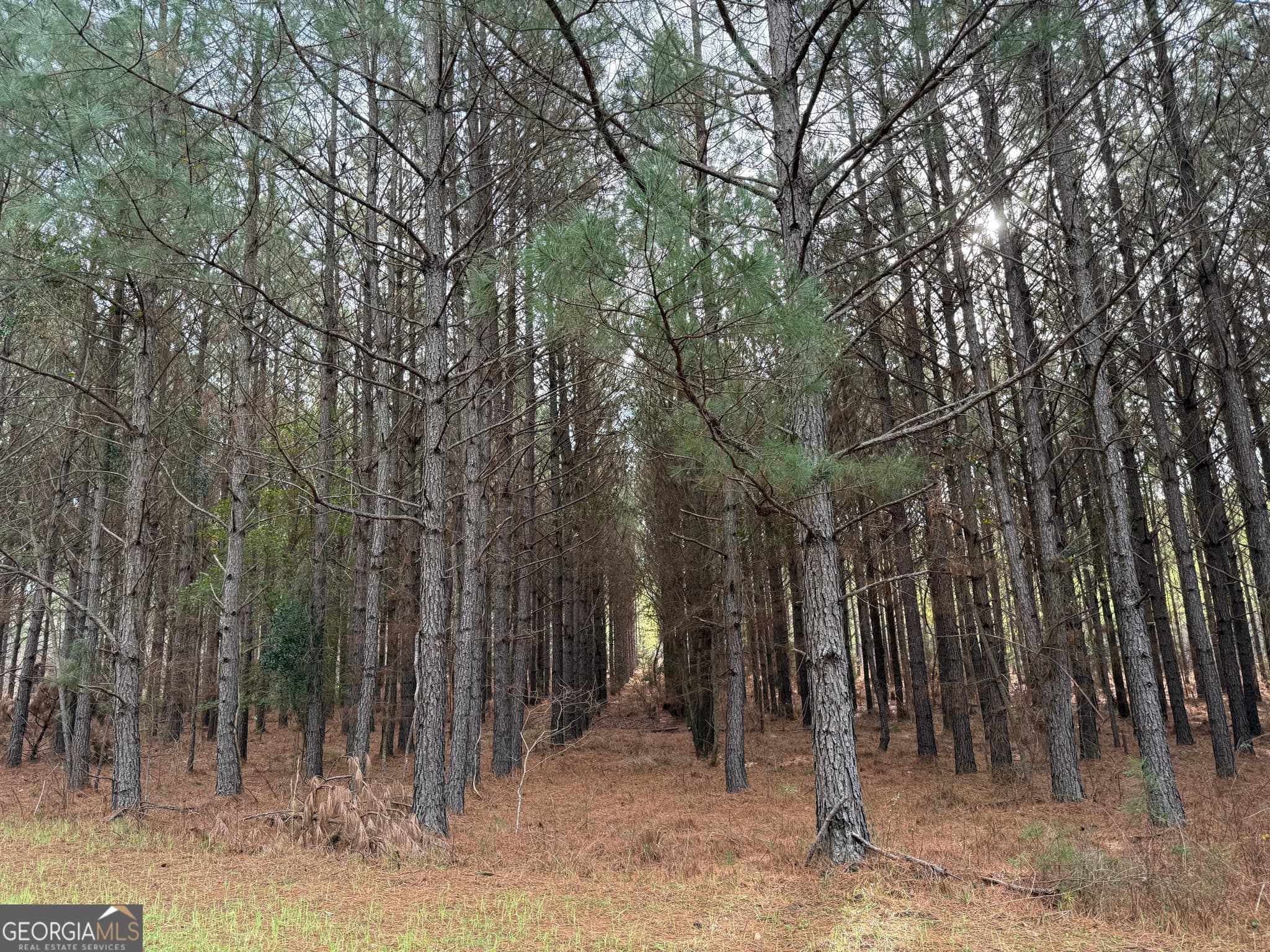 agriculture for sale at 0 Center Hill School Road, Crawfordville, GA 30631