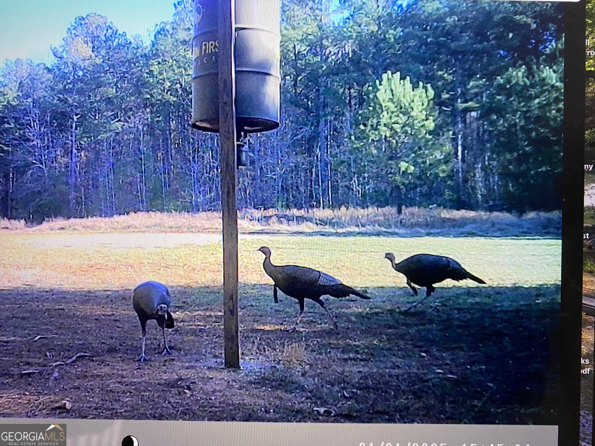 agriculture for sale at 0 Center Hill School Road, Crawfordville, GA 30631 — photo 9