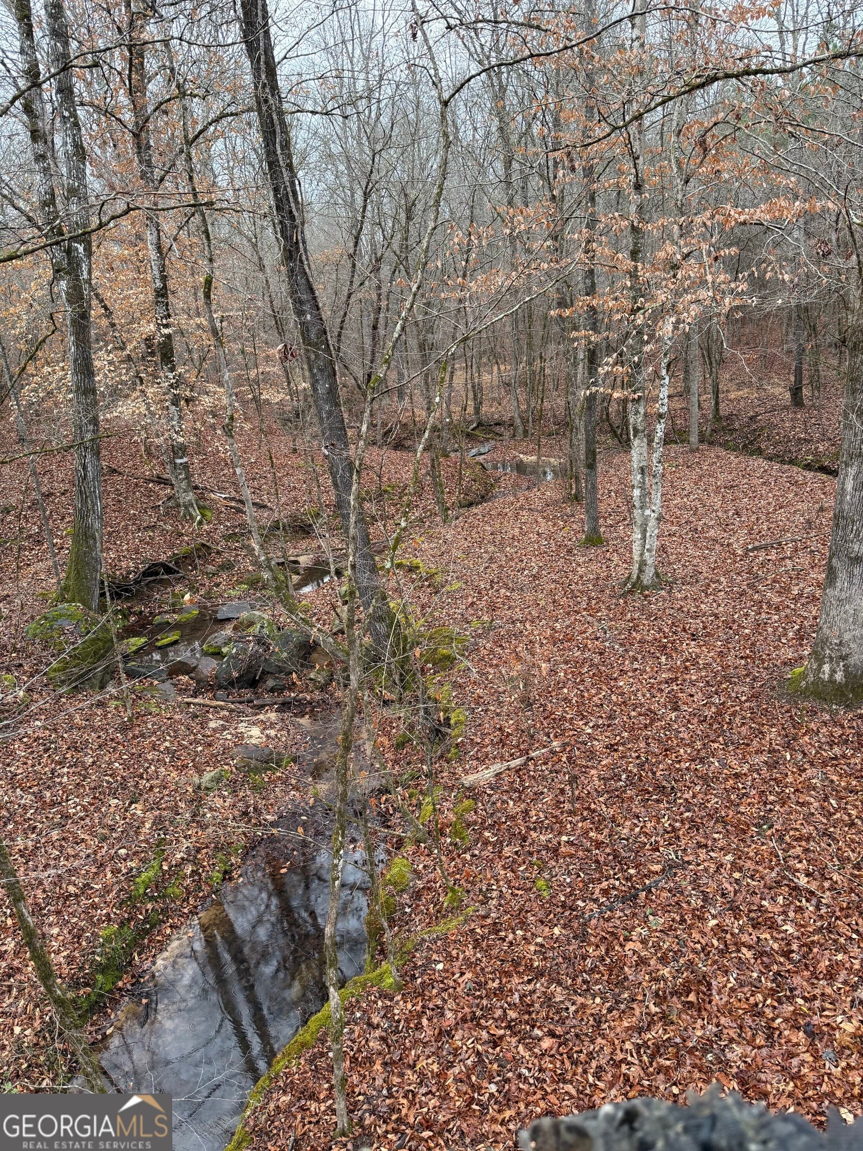 agriculture for sale at 0 Center Hill School Road, Crawfordville, GA 30631 — photo 4