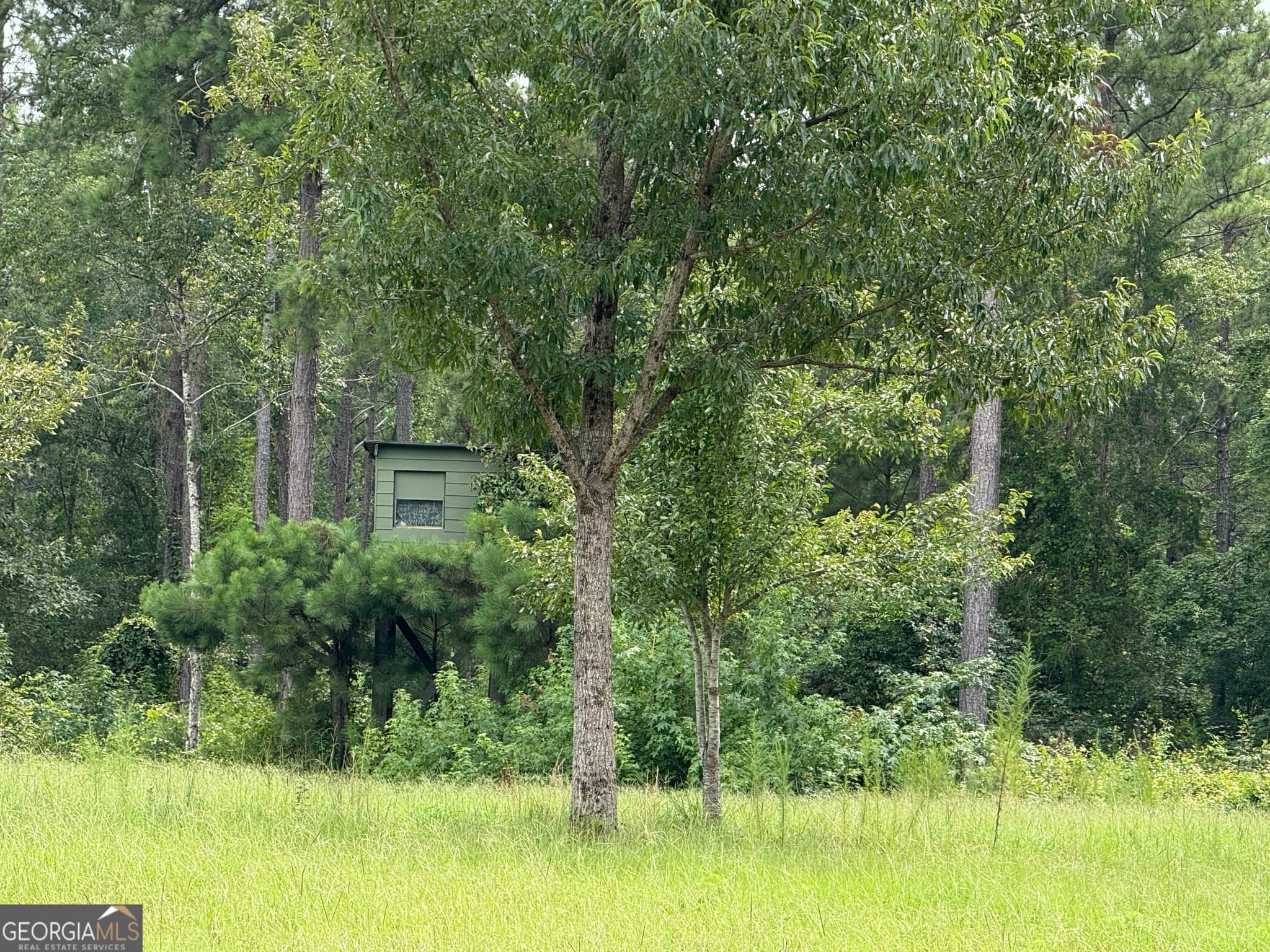 agriculture for sale at 86.92 H B Dixon Road, Sparta, GA 31087 — photo 7