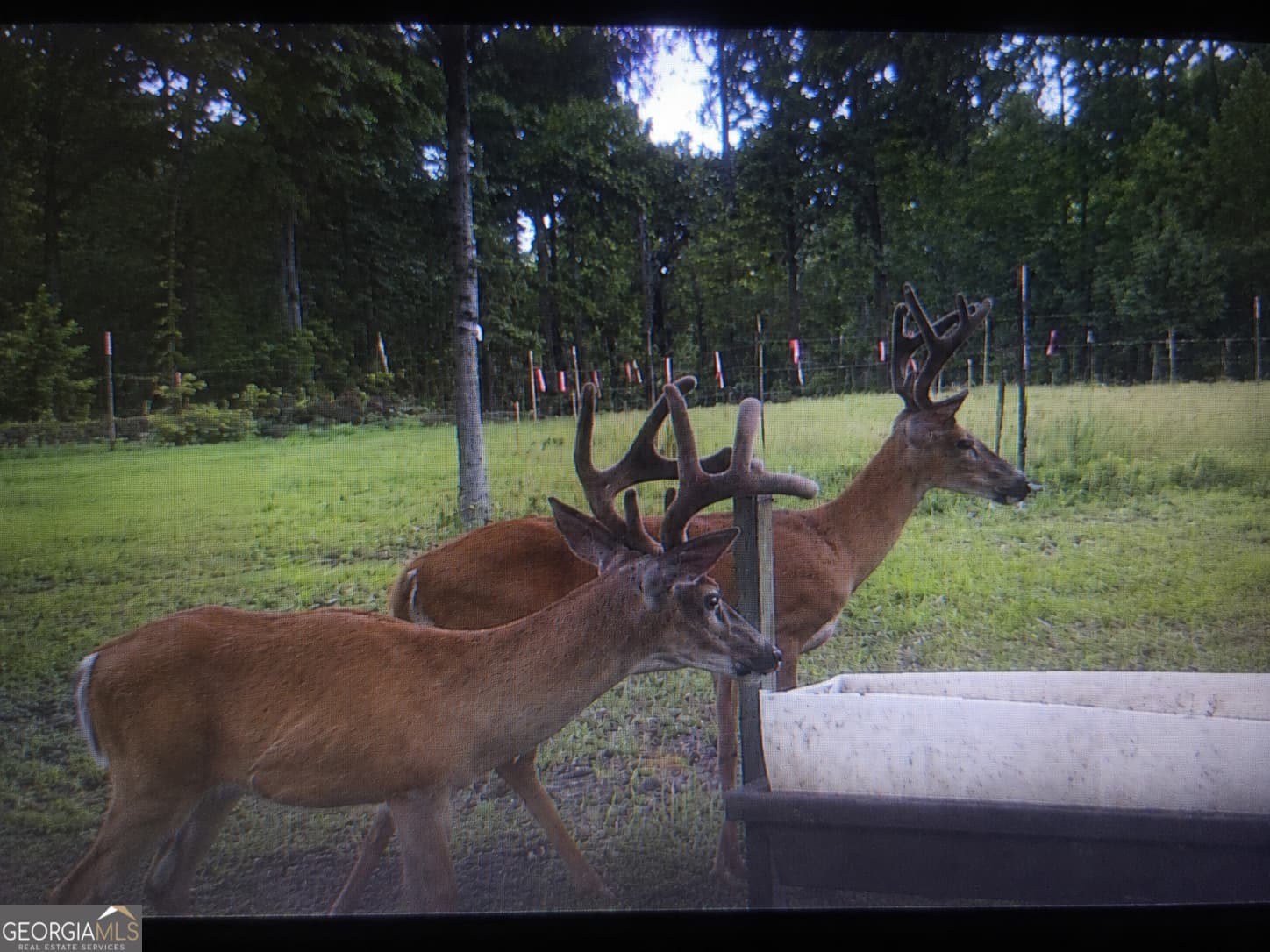 agriculture for sale at 86.92 H B Dixon Road, Sparta, GA 31087 — photo 1 of 69