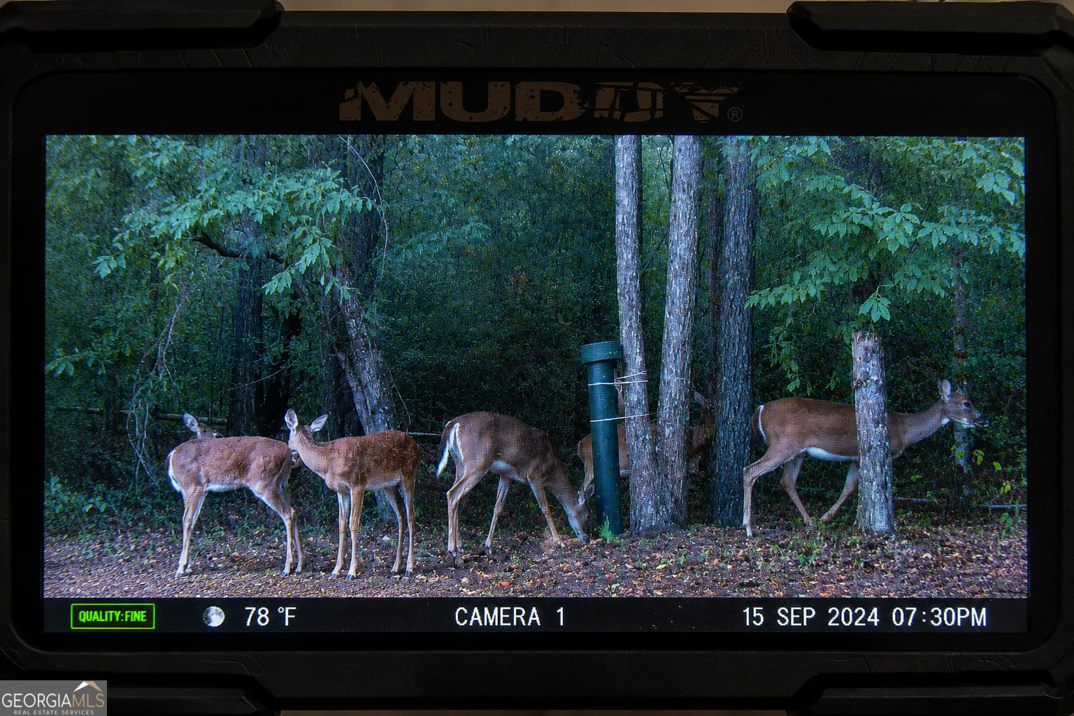 agriculture for sale at 86.92 H B Dixon Road, Sparta, GA 31087 — photo 5