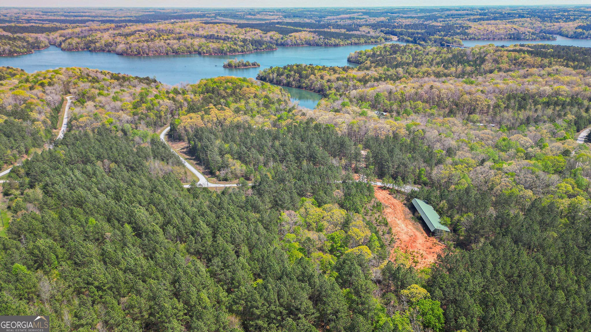 residential lot for sale at 0 LONG PINE Lane, Elberton, GA 30635 — photo 5