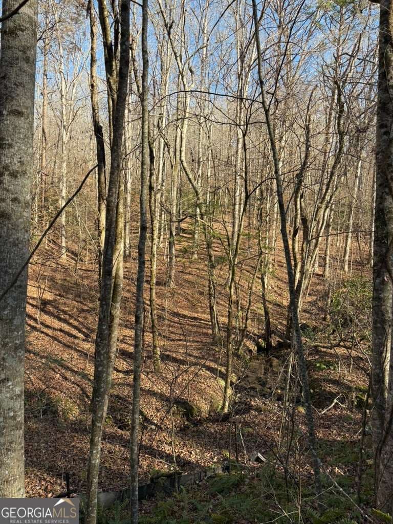 unimproved land for sale at 0 Gold View Drive, Dahlonega, GA 30533 — photo 2