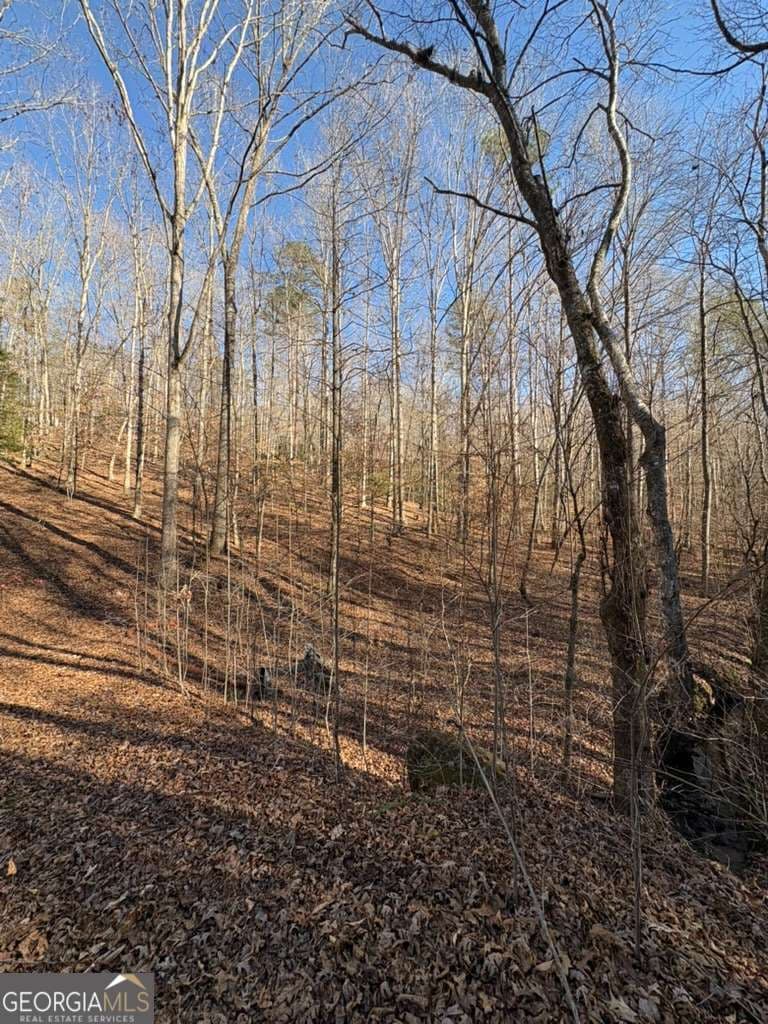 unimproved land for sale at 0 Gold View Drive, Dahlonega, GA 30533 — photo 6