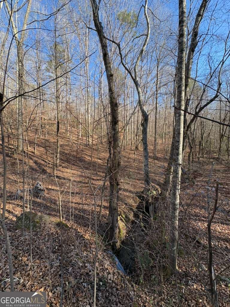 unimproved land for sale at 0 Gold View Drive, Dahlonega, GA 30533 — photo 7