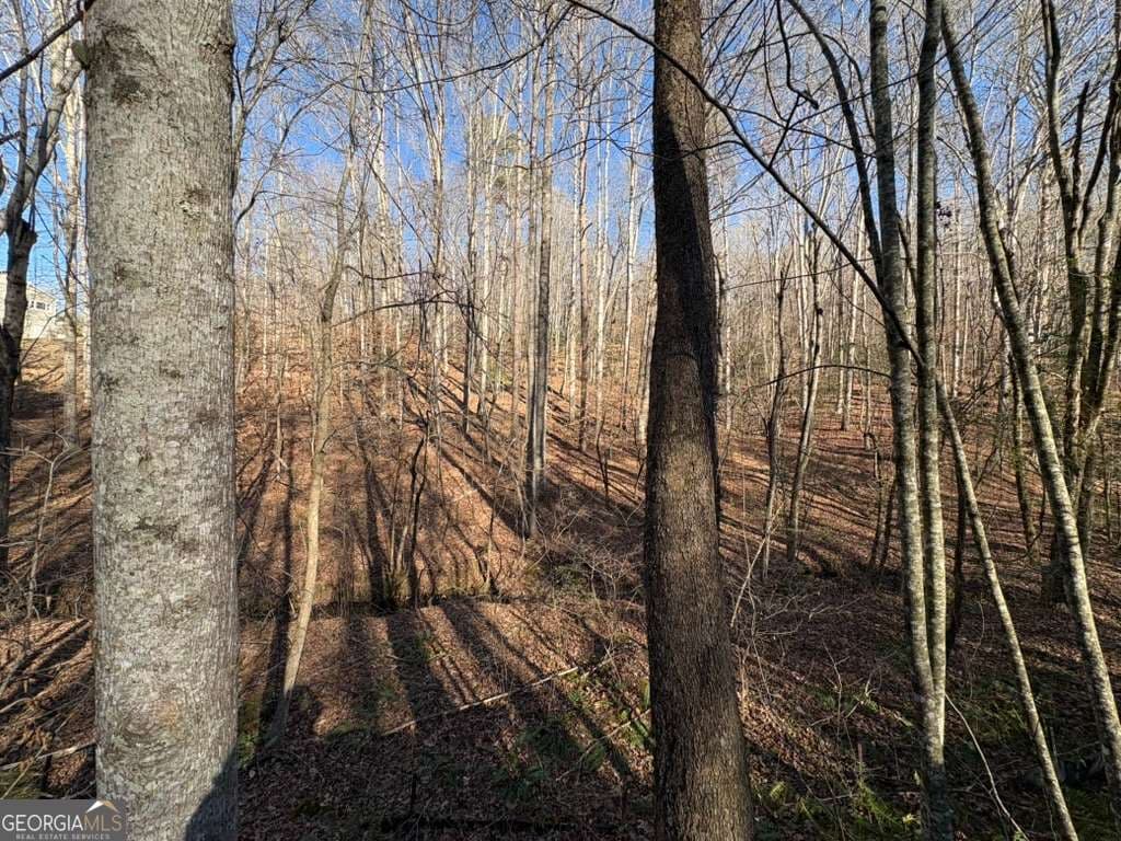 unimproved land for sale at 0 Gold View Drive, Dahlonega, GA 30533 — photo 3