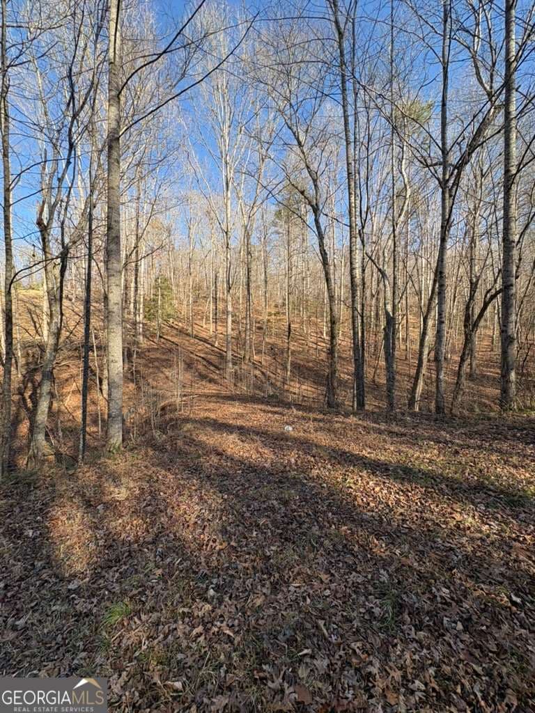 unimproved land for sale at 0 Gold View Drive, Dahlonega, GA 30533 — photo 1 of 11