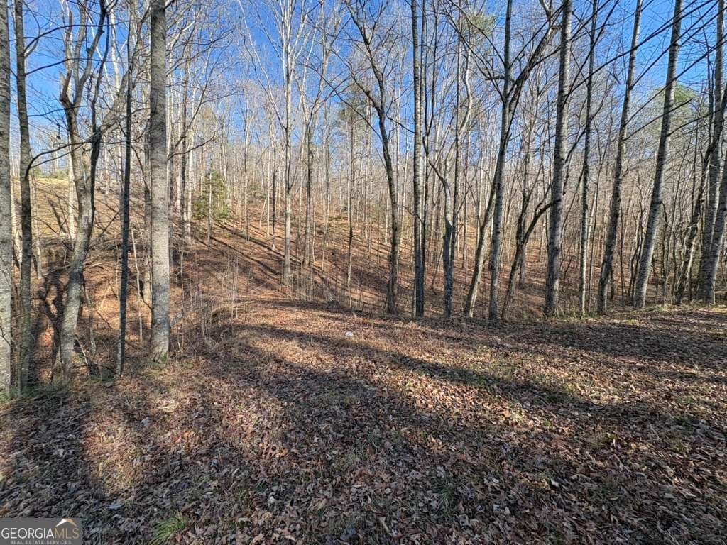 unimproved land for sale at 0 Gold View Drive, Dahlonega, GA 30533 — photo 5
