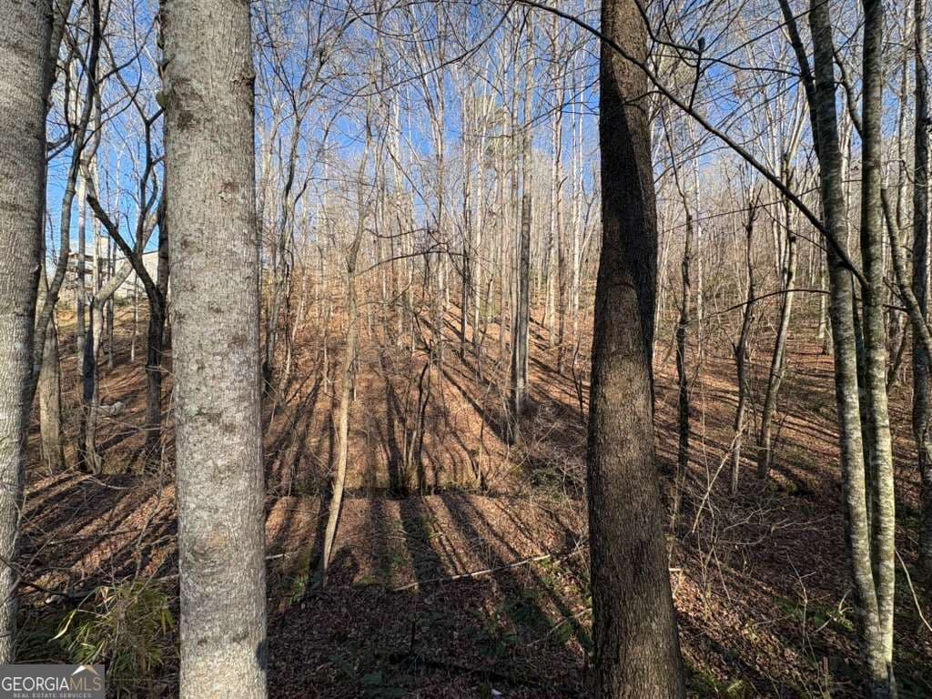 unimproved land for sale at 0 Gold View Drive, Dahlonega, GA 30533 — photo 9