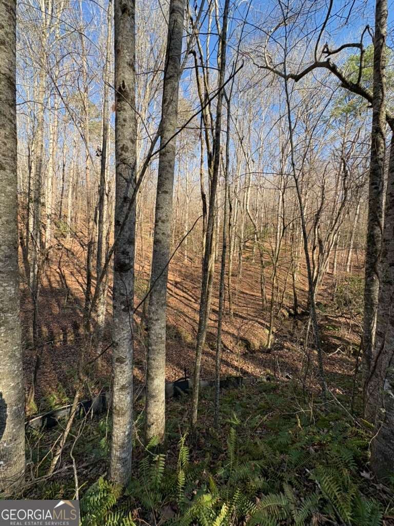unimproved land for sale at 0 Gold View Drive, Dahlonega, GA 30533 — photo 10