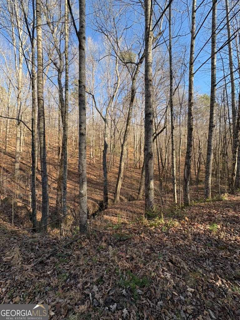 unimproved land for sale at 0 Gold View Drive, Dahlonega, GA 30533 — photo 4