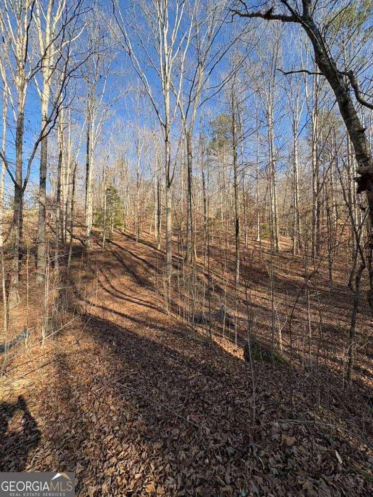 unimproved land for sale at 0 Gold View Drive, Dahlonega, GA 30533 — photo 8