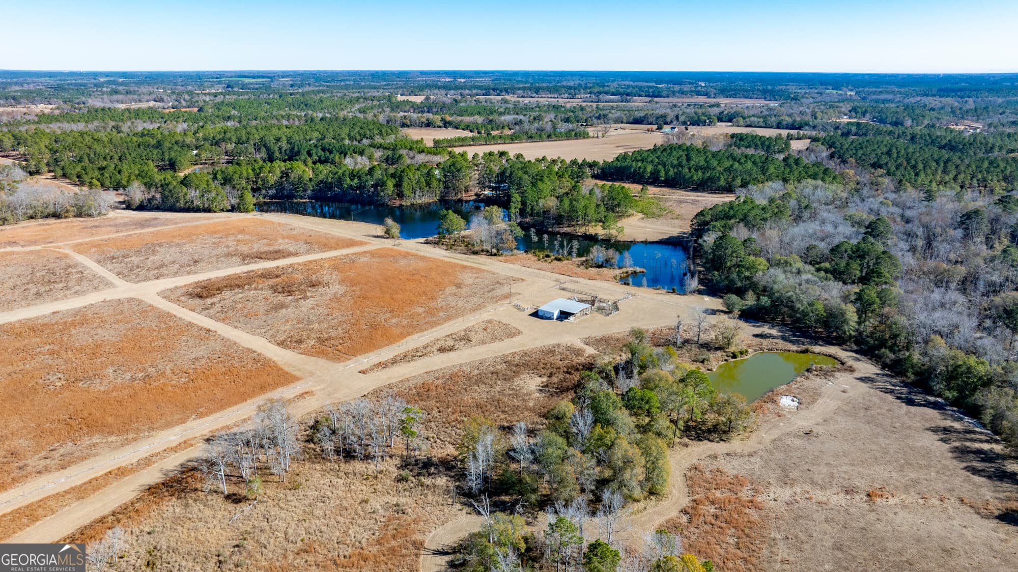 agriculture for sale at 2685 Carters Bridge Road, Claxton, GA 30417 — photo 2