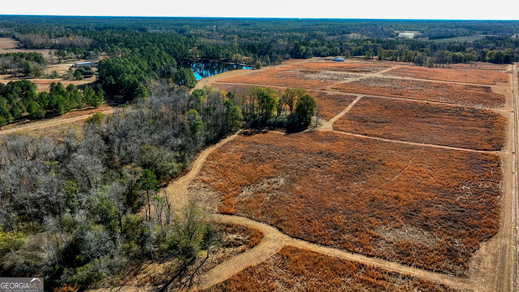 agriculture for sale at 2685 Carters Bridge Road, Claxton, GA 30417 — photo 7