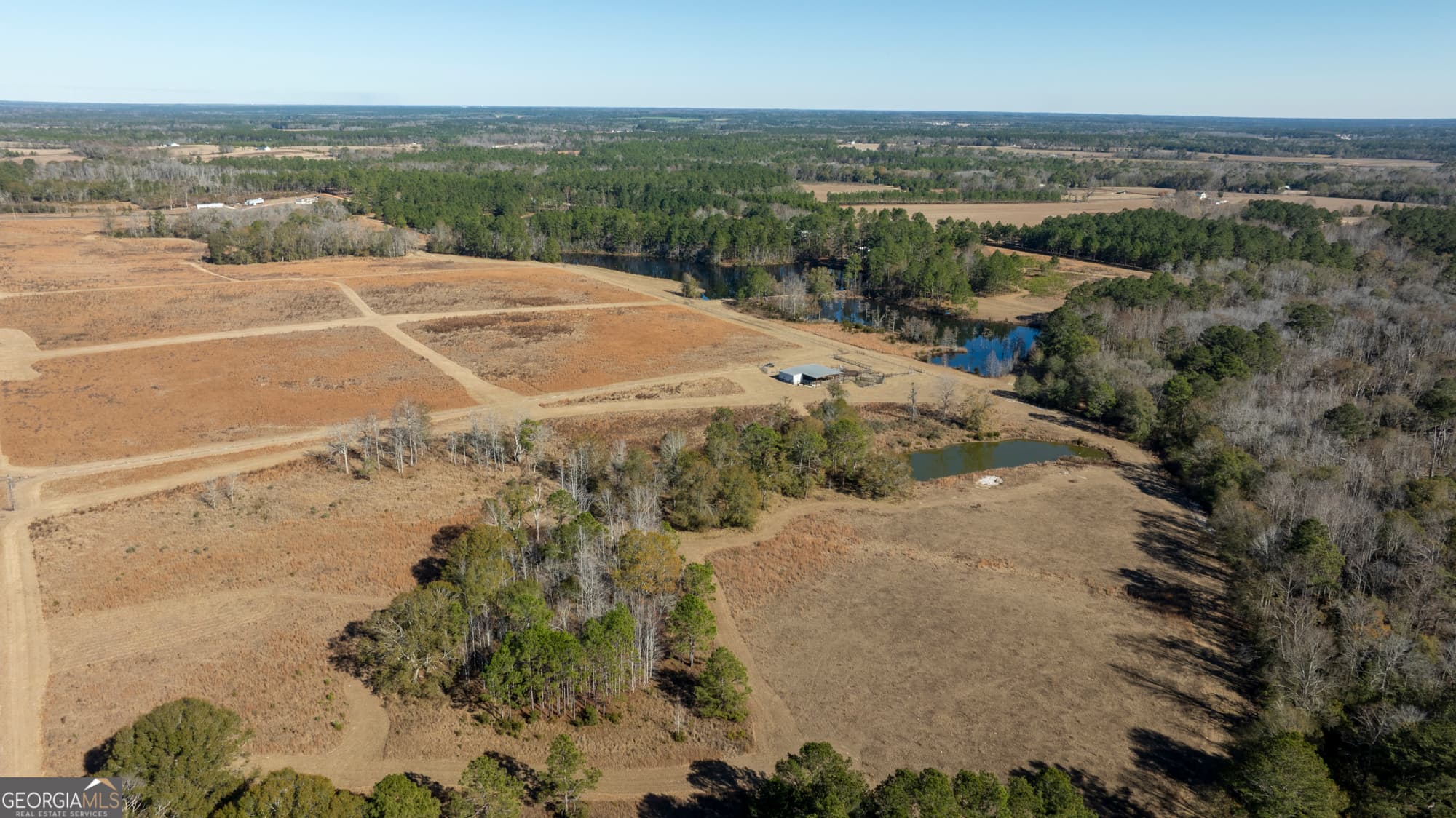 agriculture for sale at 2685 Carters Bridge Road, Claxton, GA 30417 — photo 3
