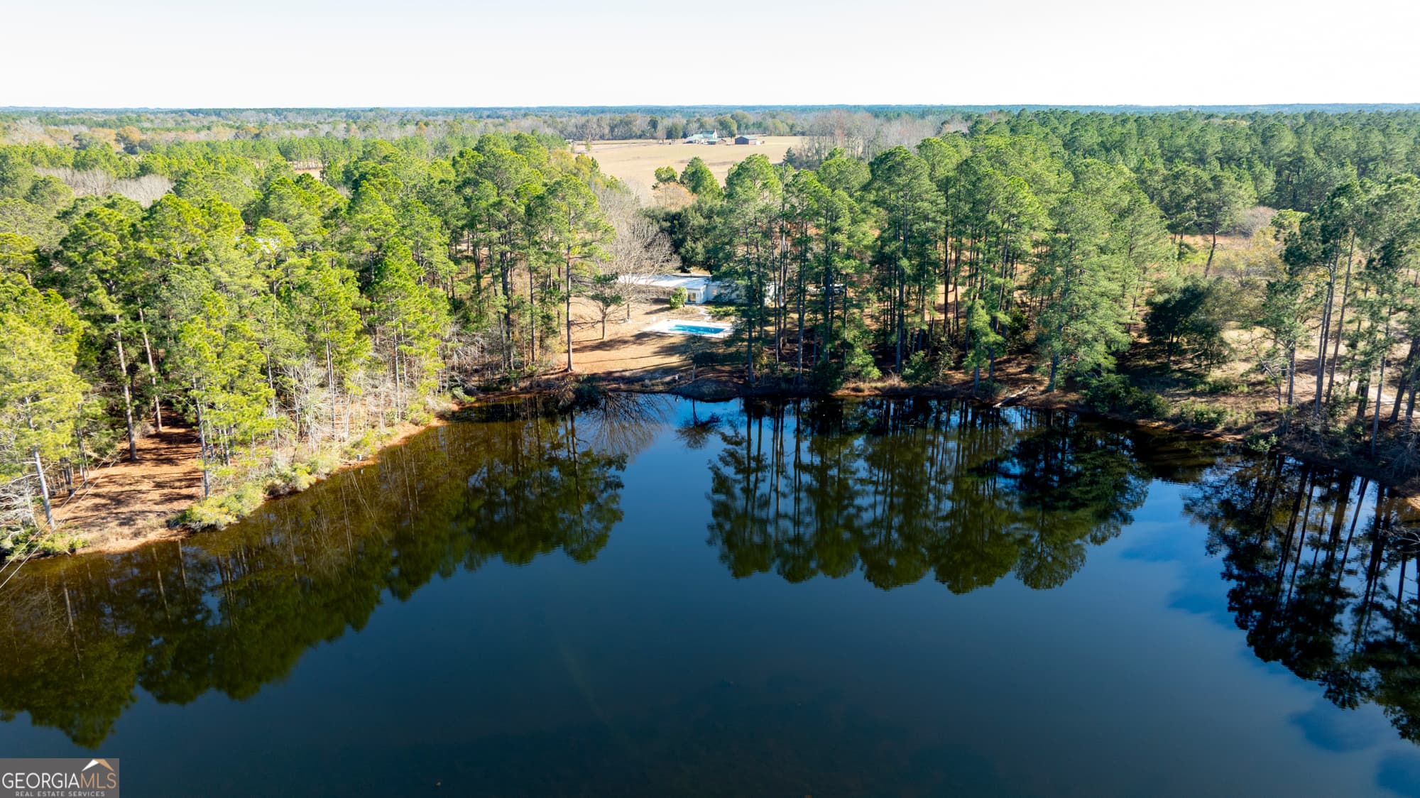 agriculture for sale at 2685 Carters Bridge Road, Claxton, GA 30417 — photo 9