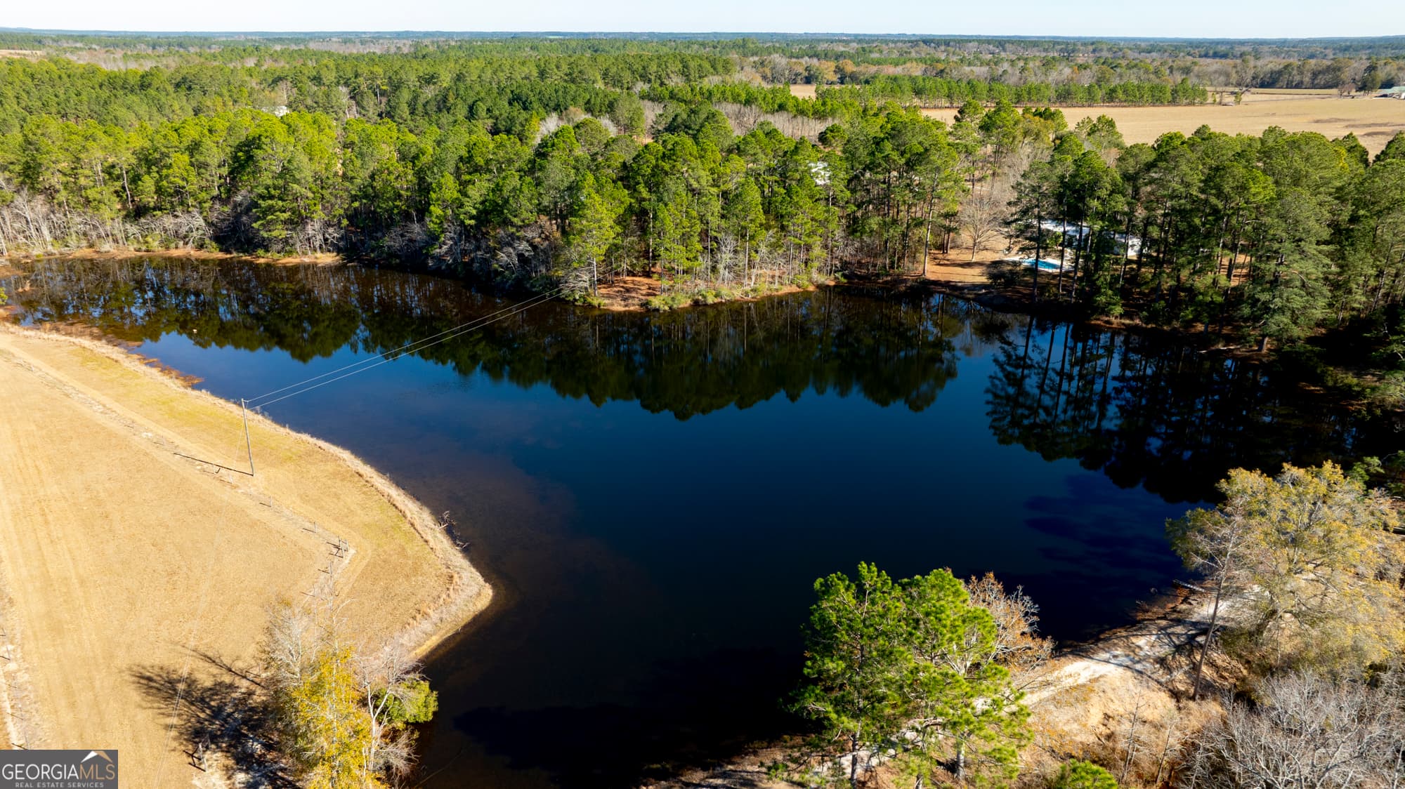 agriculture for sale at 2685 Carters Bridge Road, Claxton, GA 30417 — photo 10