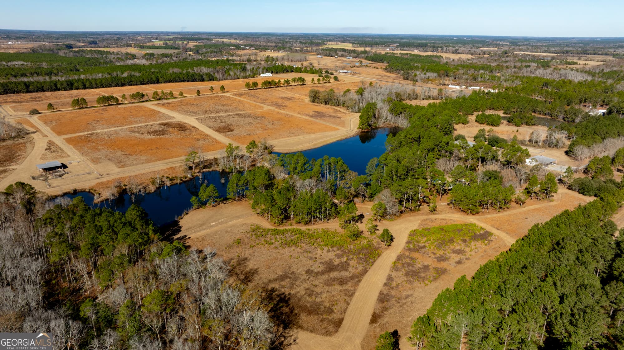 agriculture for sale at 2685 Carters Bridge Road, Claxton, GA 30417 — photo 4
