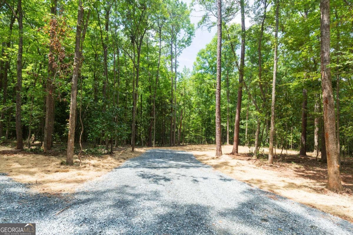 3 bedroom, 2 bathroom manufactured home,single family residence for sale at 0 Roosevelt Highway, Warm Springs, GA 31830 — photo 6